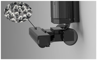 Biomimetics 11 00023 i002