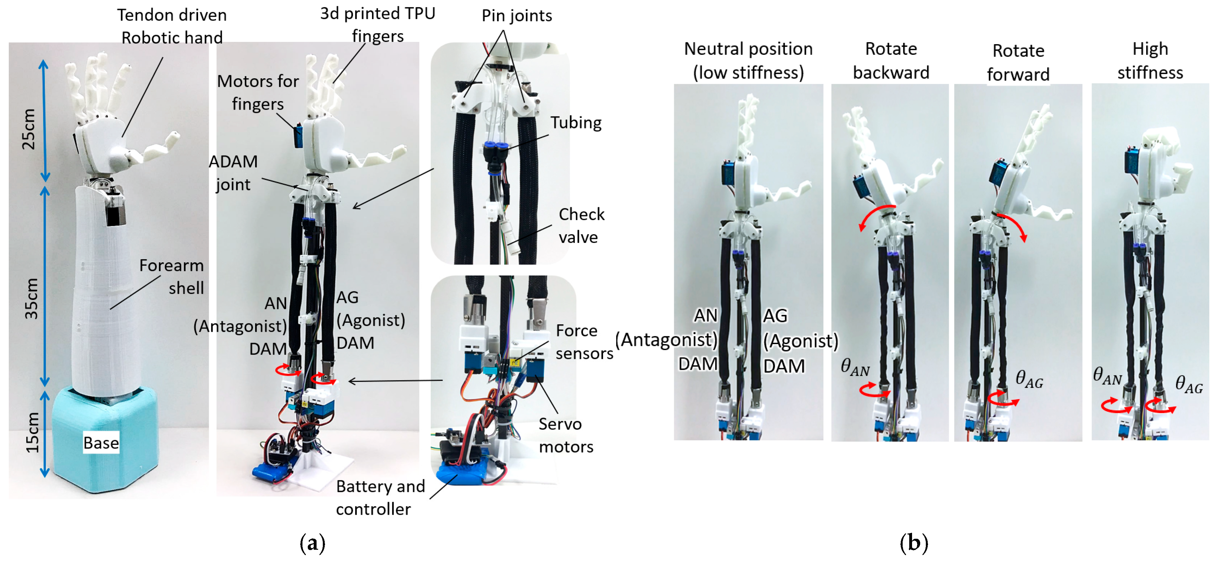 Biomimetics 11 00038 g014 Biomimetics 11 00038 g014