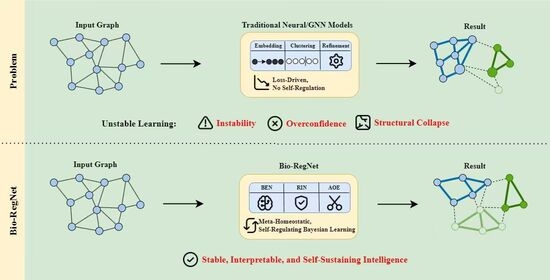 Overview of the Bio-RegNet framework. Bio-RegNet operates through a four-stage meta-homeostatic learning loop: (1) a Bayesian Effector Network (BEN) for uncertainty-aware inference, (2) a Treg-inspired Regulatory Network (RIN) providing entropy- and energy-based inhibitory feedback, (3) an Autophagic Optimization Engine (AOE) enabling Fisher-information-guided pruning and regeneration, and (4) a global meta-homeostatic energy update driving the system toward equilibrium 
  
    E
    (
    t
    )
  
 with 
  
    d
    E
    /
    d
    t
    →
    0
  
. Solid arrows indicate forward execution, while dashed arrows denote feedback across iterations.