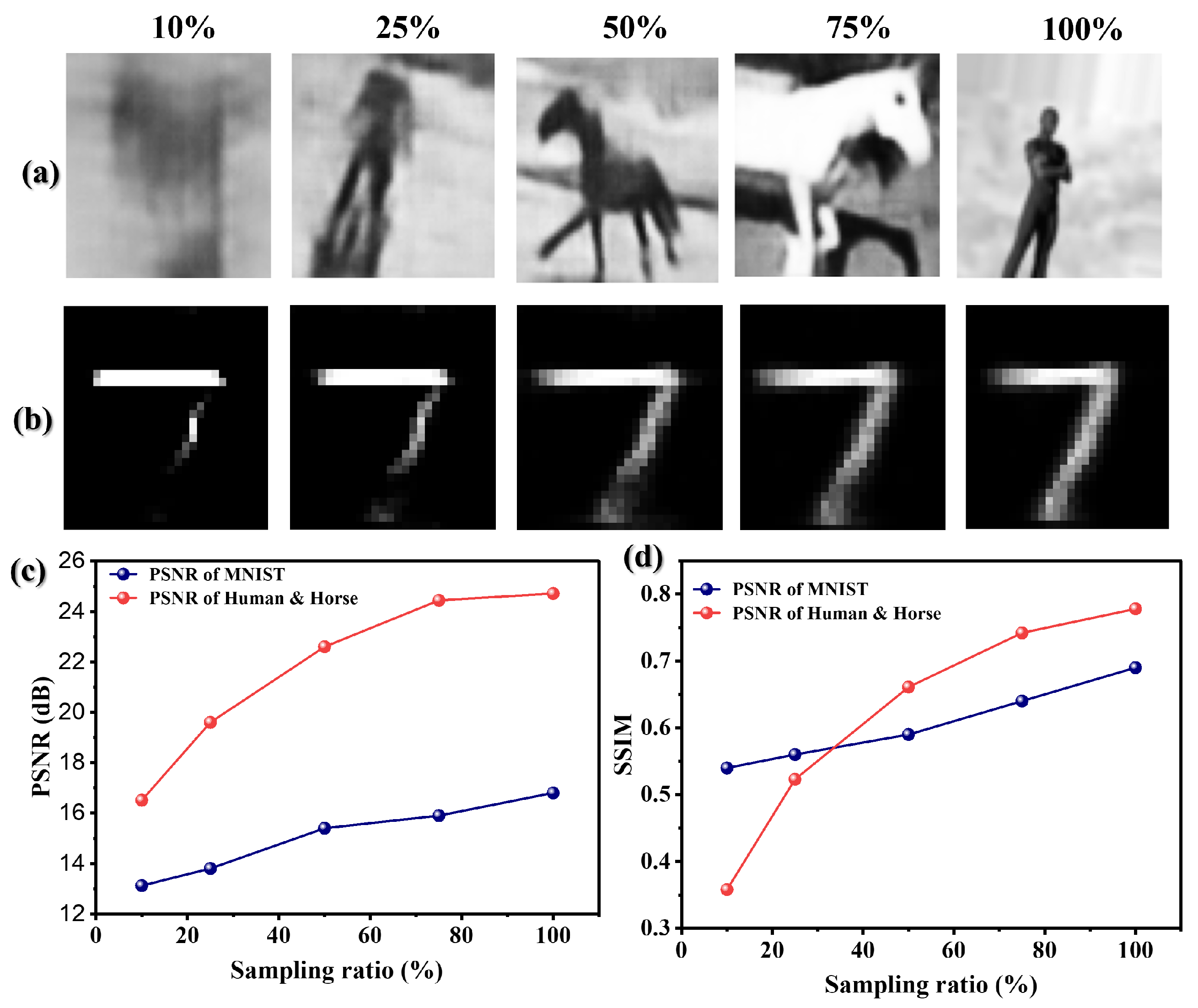 Biomimetics 11 00053 g006 Biomimetics 11 00053 g006