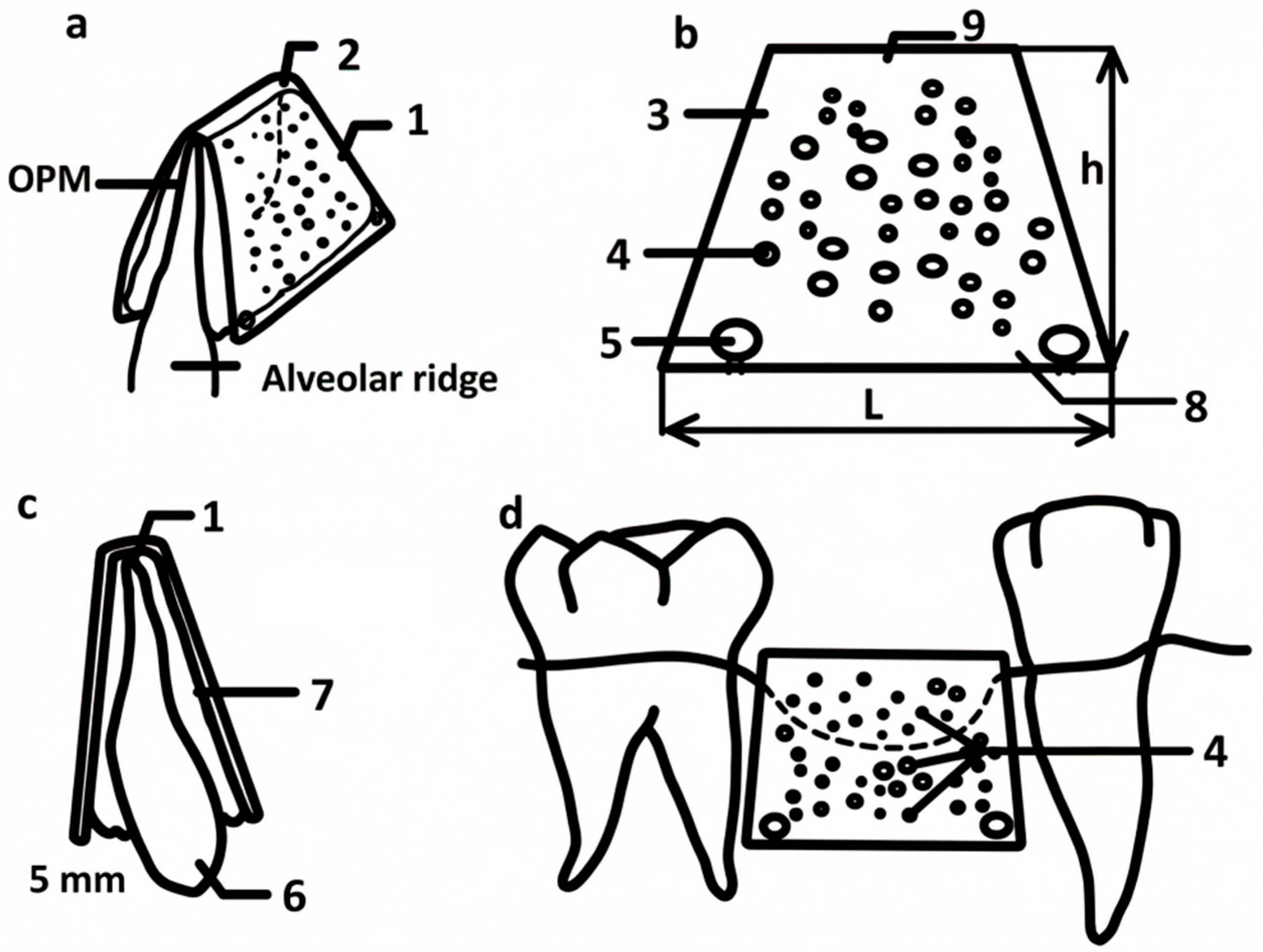 Biomimetics 11 00091 g002 Biomimetics 11 00091 g002