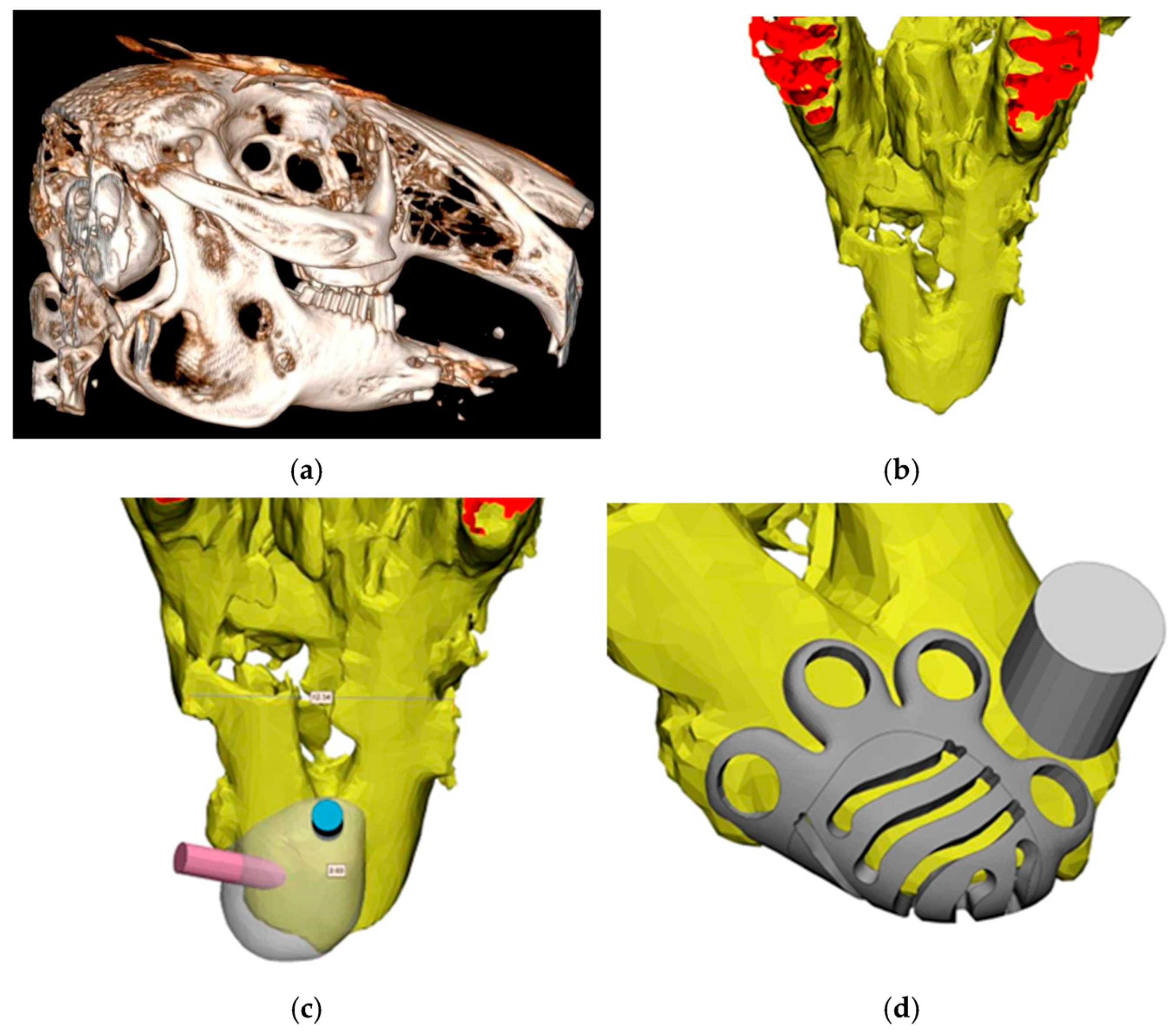 Biomimetics 11 00091 g003a Biomimetics 11 00091 g003a