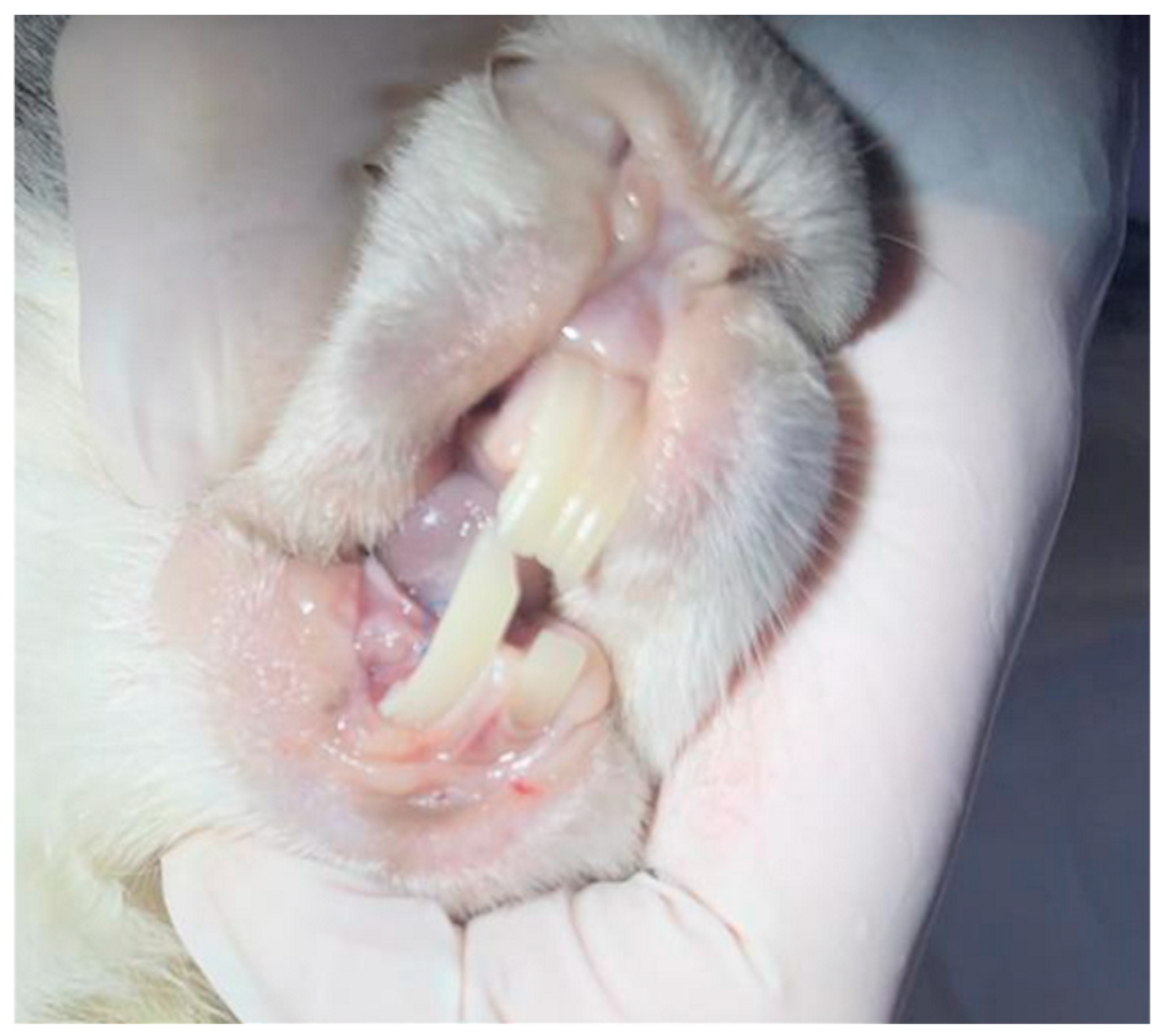 Biomimetics 11 00091 g005 Biomimetics 11 00091 g005