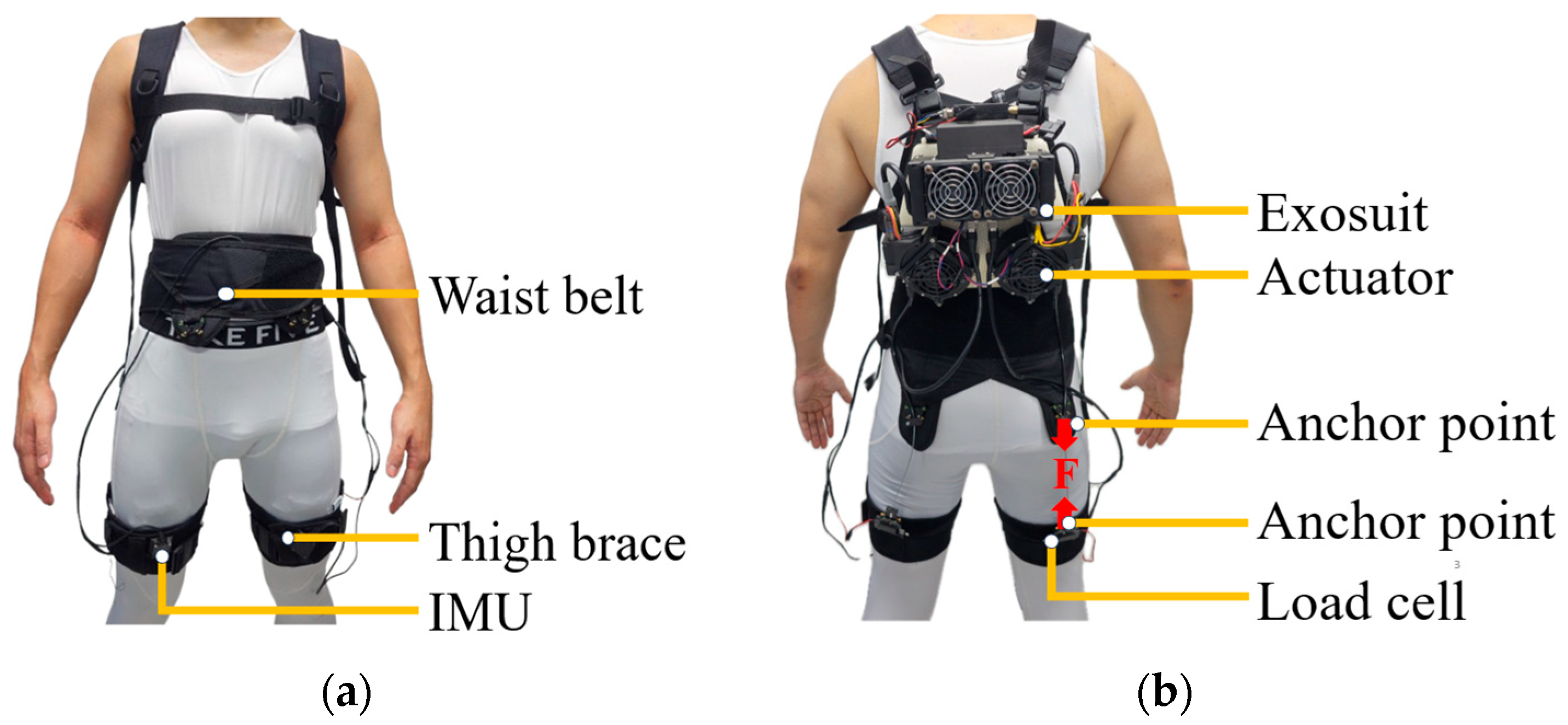 Biomimetics 11 00096 g001