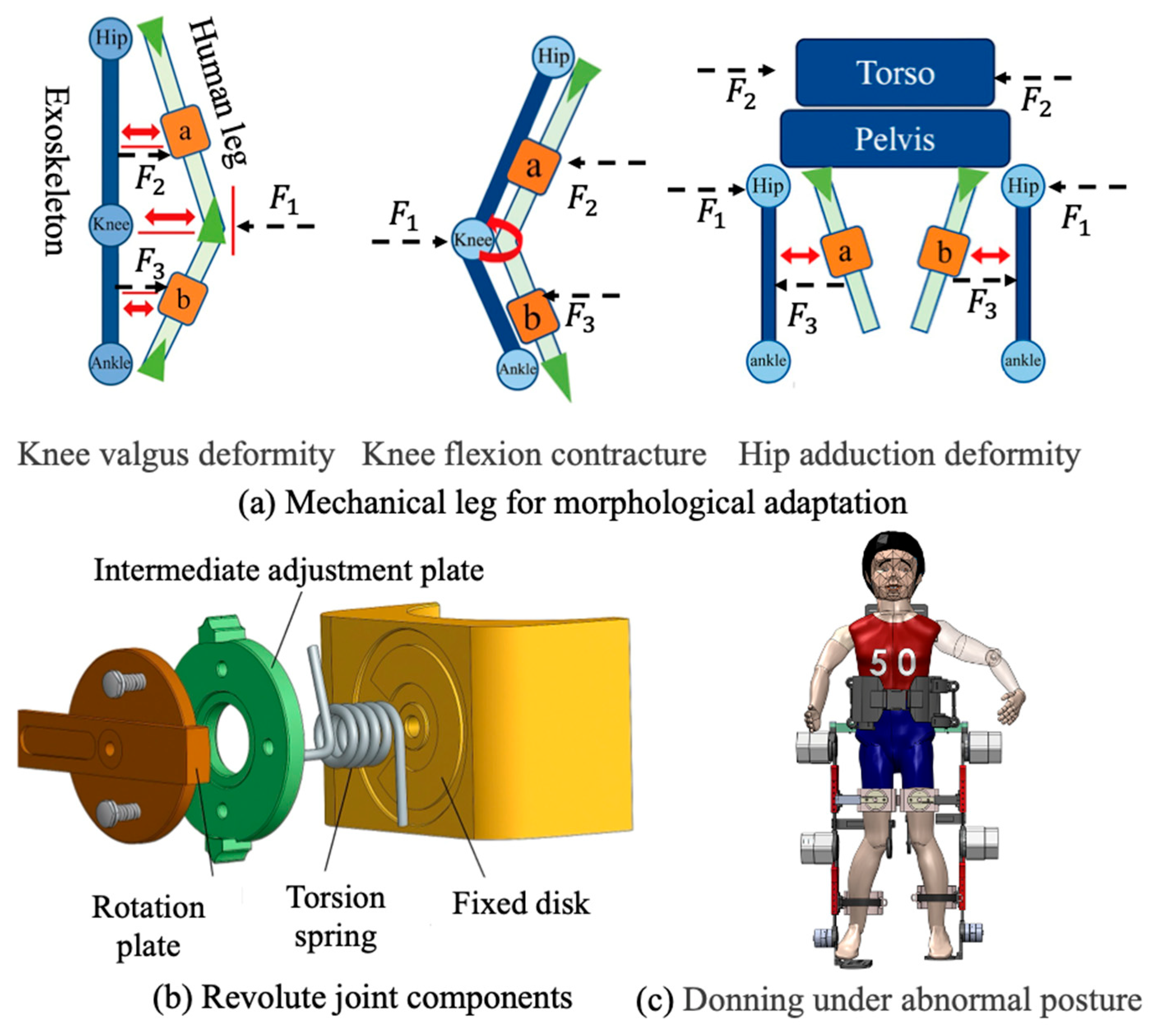 Biomimetics 11 00101 g004