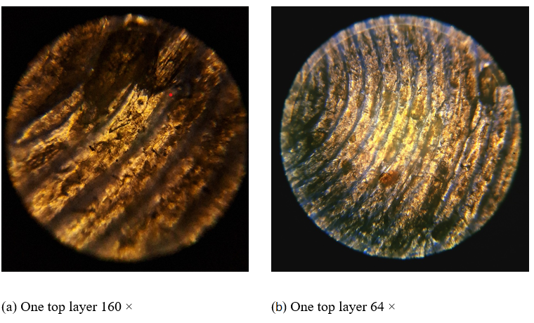 Biomimetics 11 00106 g001 Biomimetics 11 00106 g001