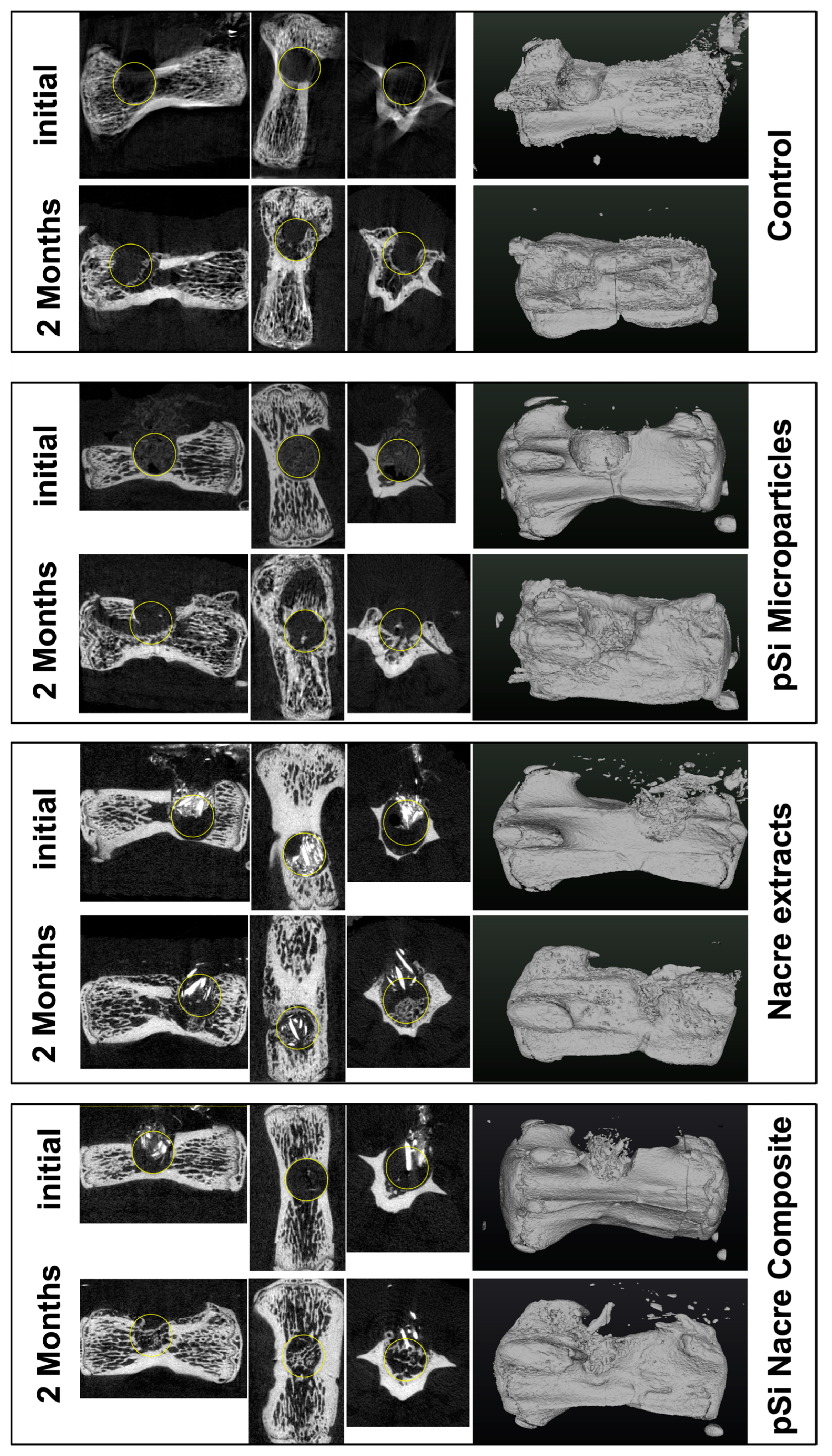 Biomimetics 11 00114 g002