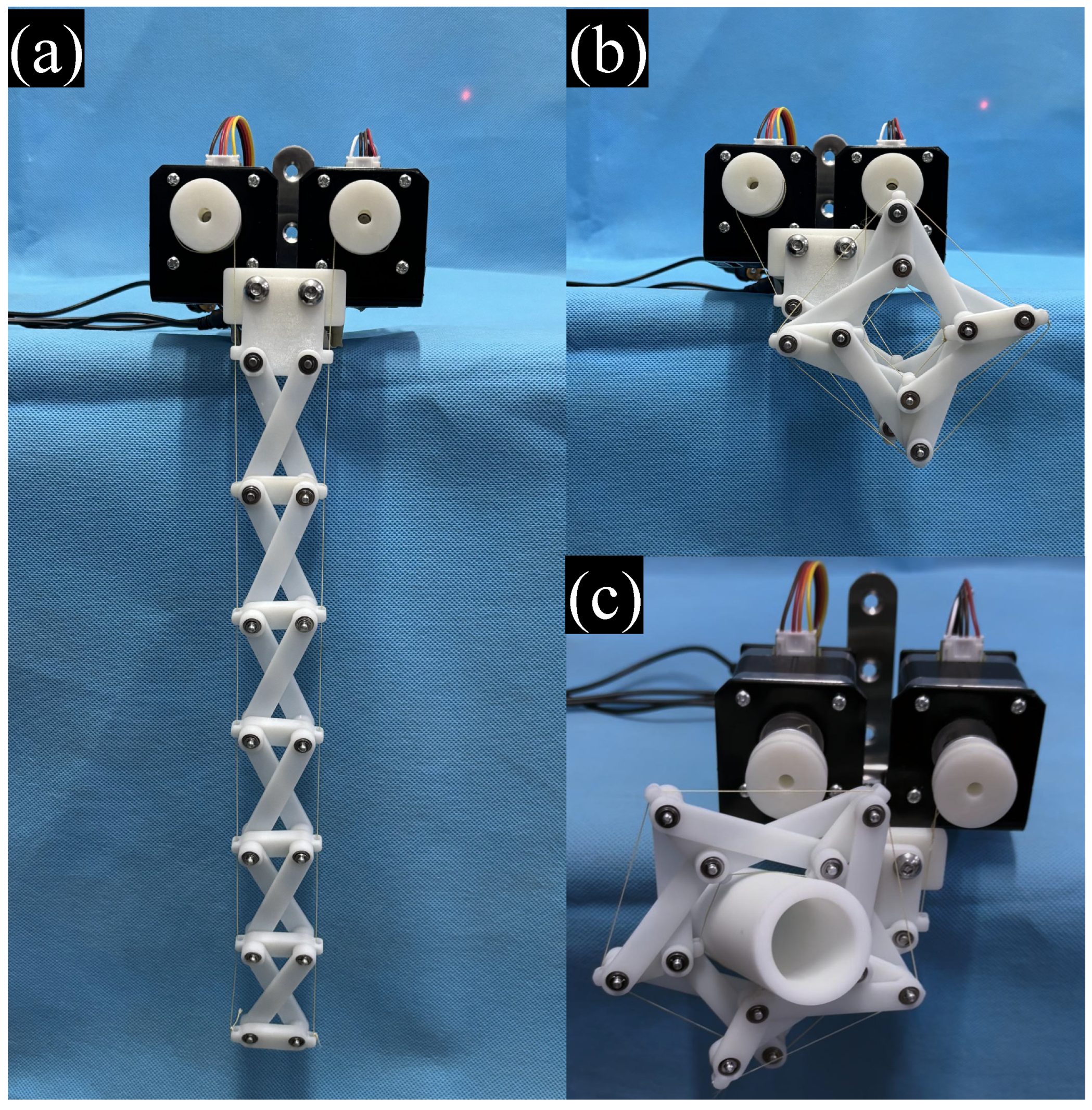 Biomimetics 11 00125 g017 Biomimetics 11 00125 g017