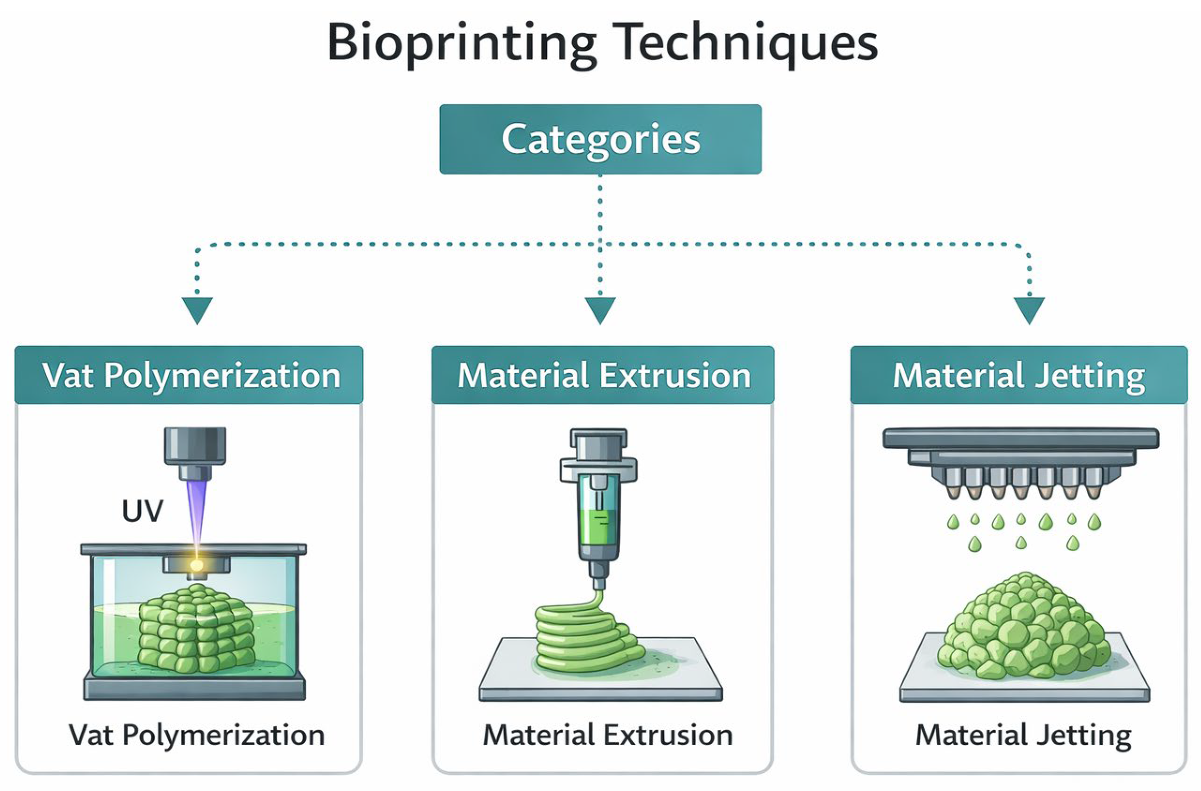 Biomimetics 11 00164 g002 Biomimetics 11 00164 g002