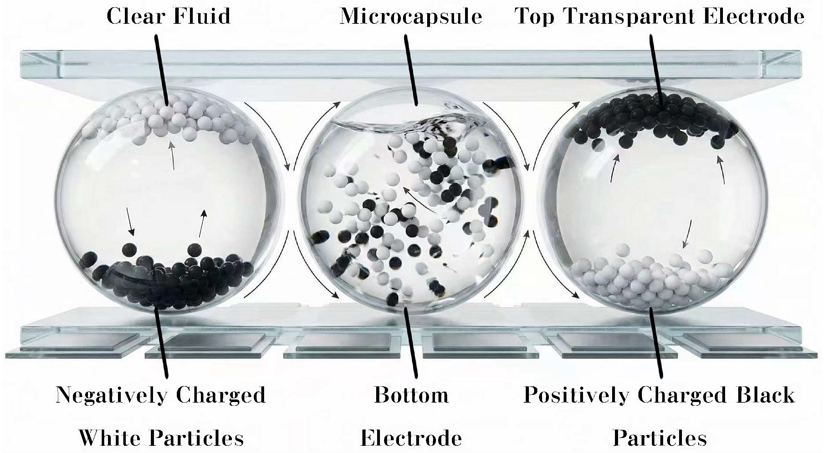 Biomimetics 11 00195 g001 Biomimetics 11 00195 g001