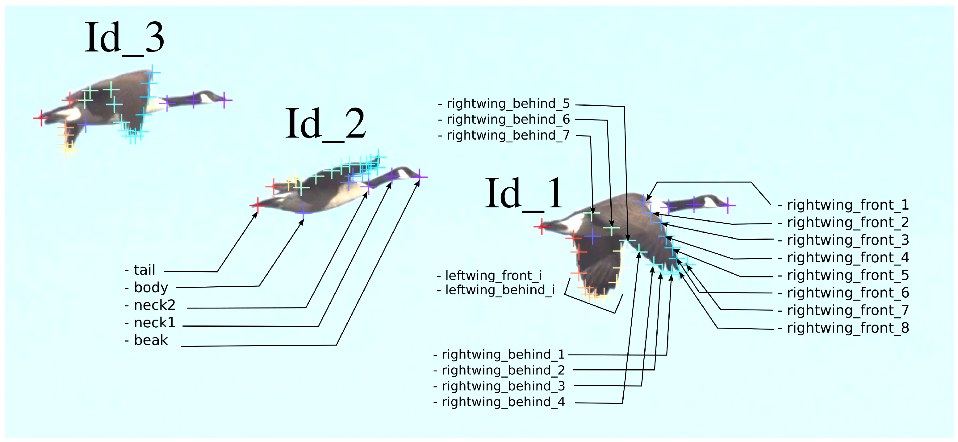 Biomimetics 11 00212 g001 Biomimetics 11 00212 g001
