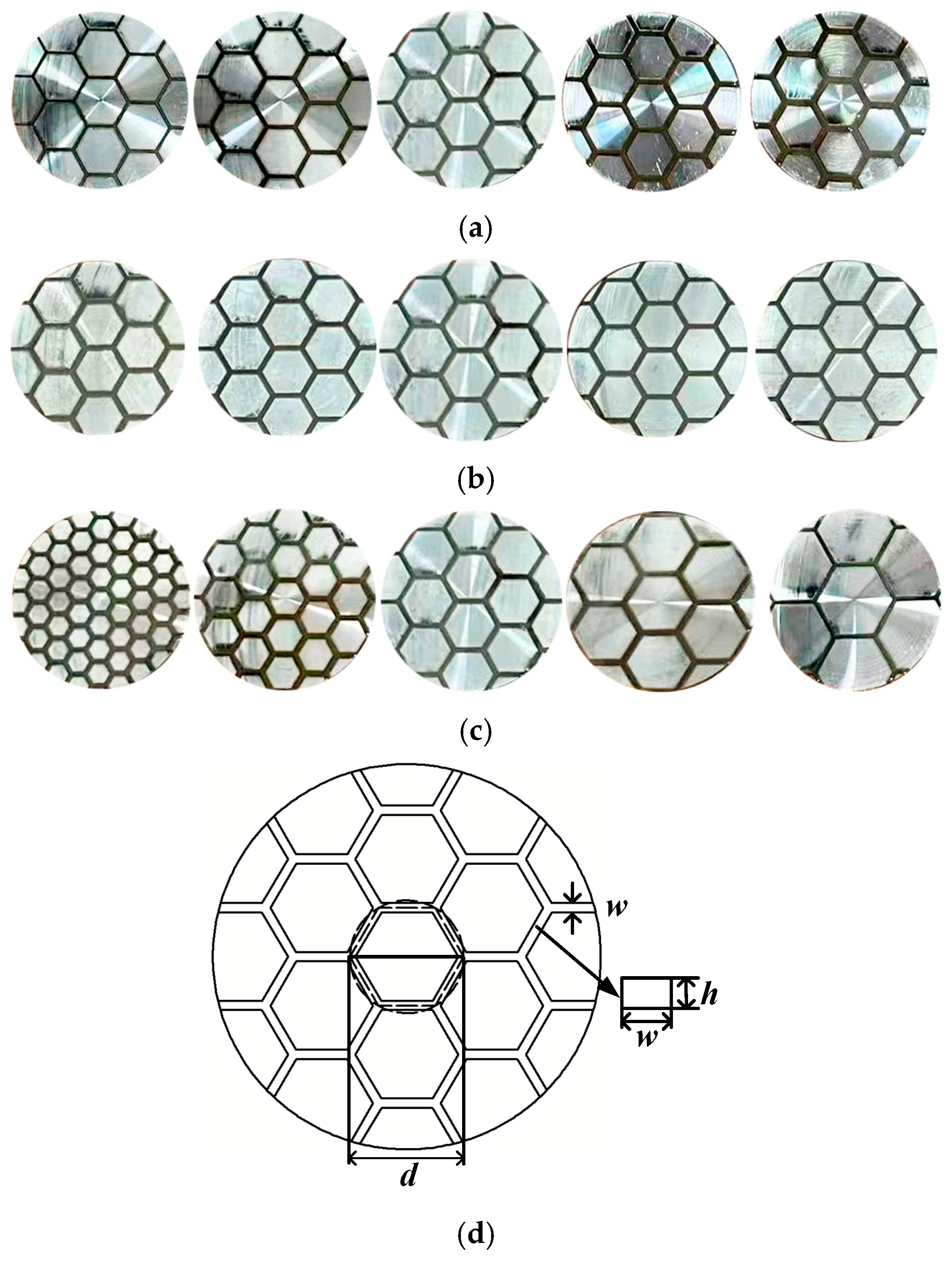 Biomimetics 11 00271 g003 Biomimetics 11 00271 g003