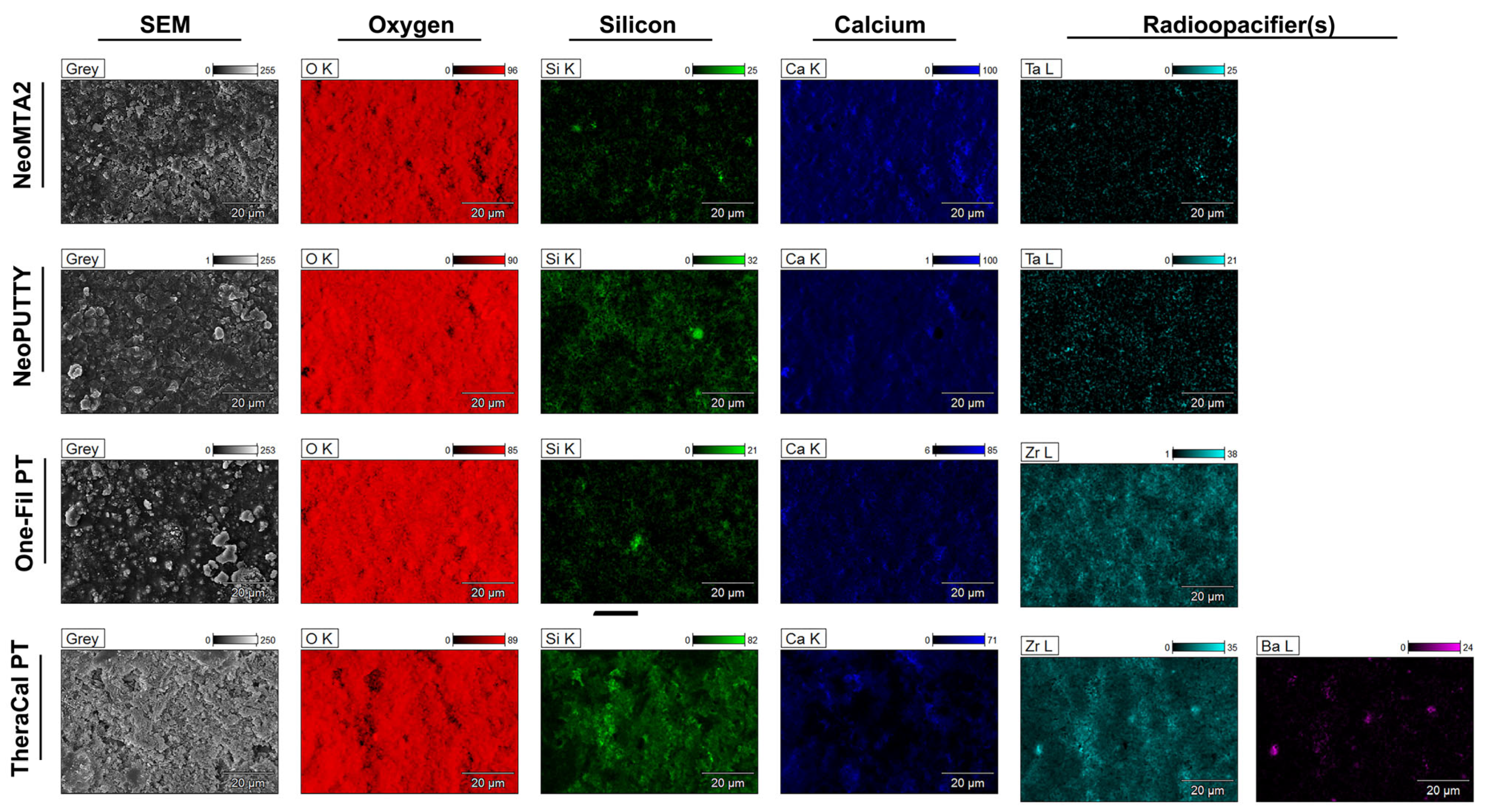 Biomimetics 11 00280 g005 Biomimetics 11 00280 g005