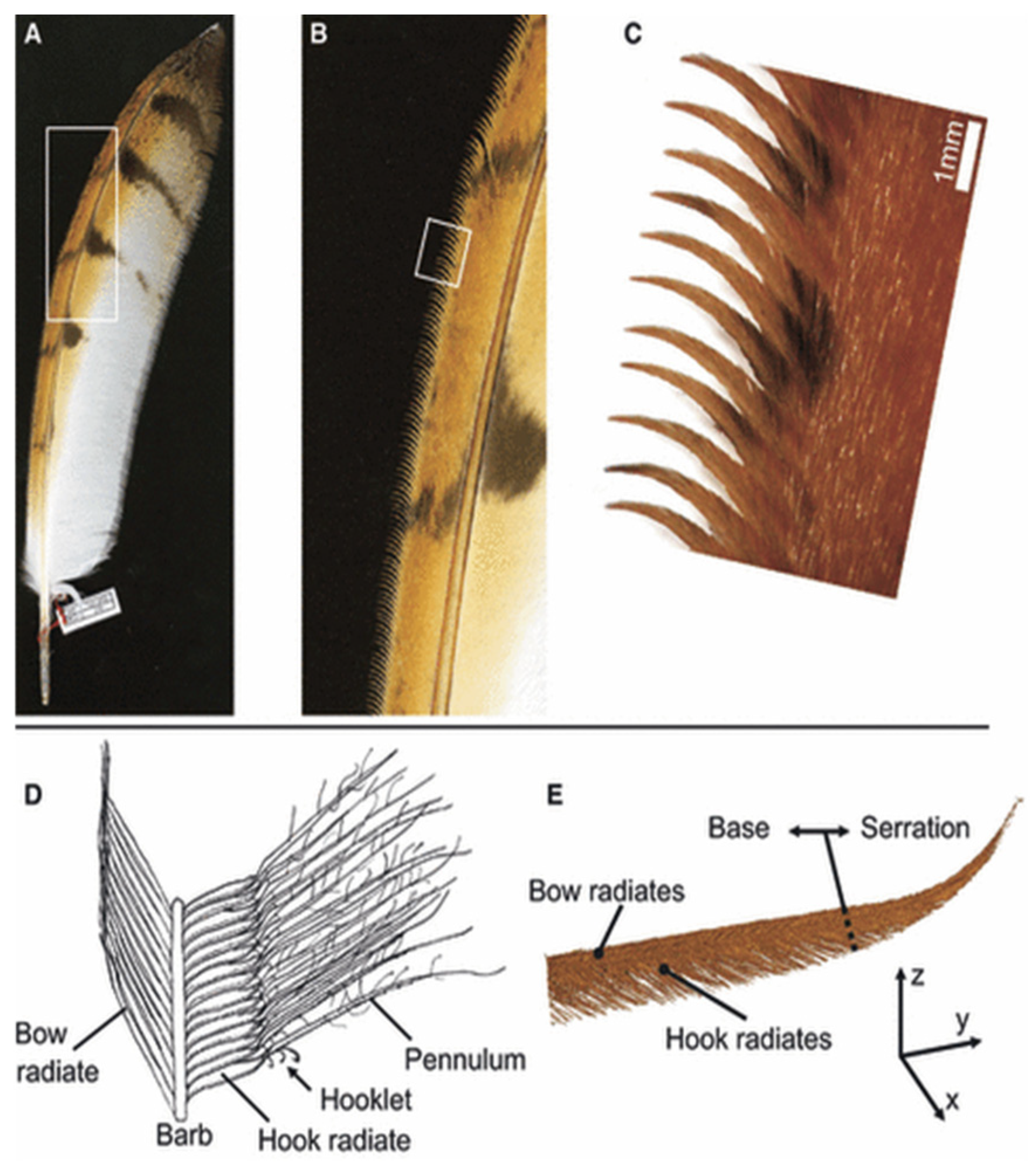 Biomimetics 11 00313 g005 Biomimetics 11 00313 g005