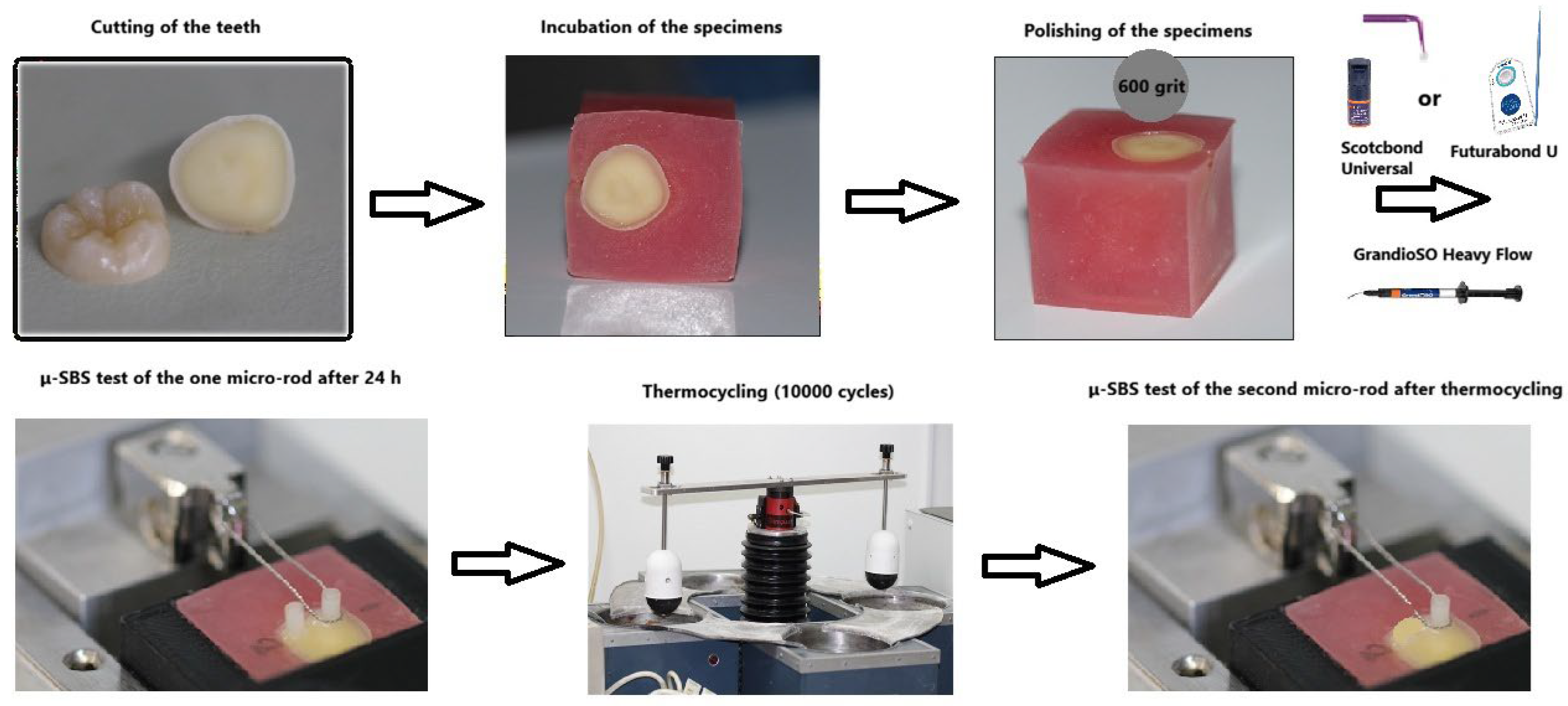Biomimetics 11 00358 g001 Biomimetics 11 00358 g001