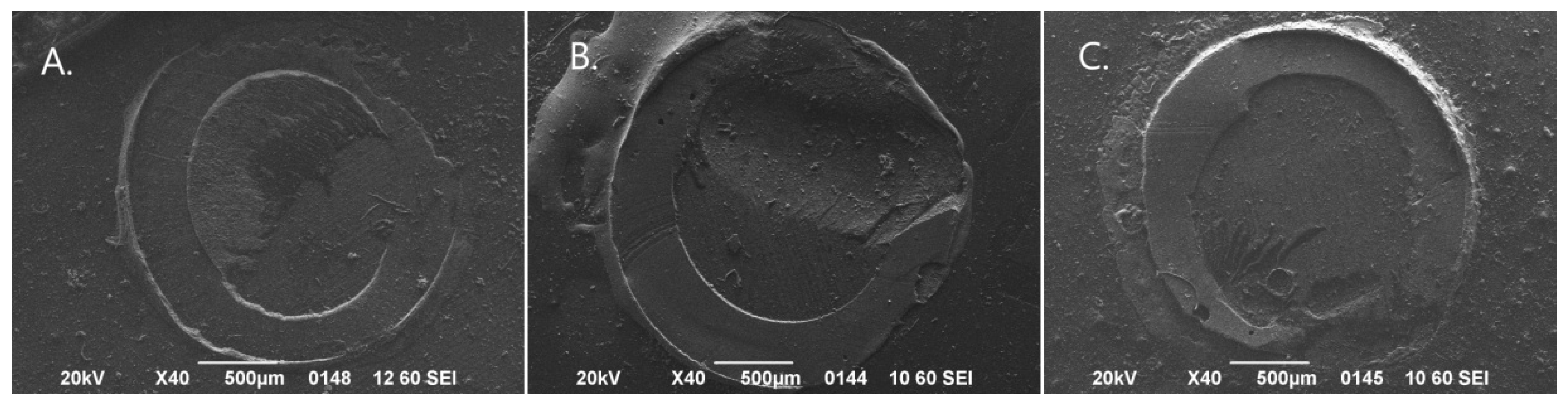 Biomimetics 11 00358 g003 Biomimetics 11 00358 g003