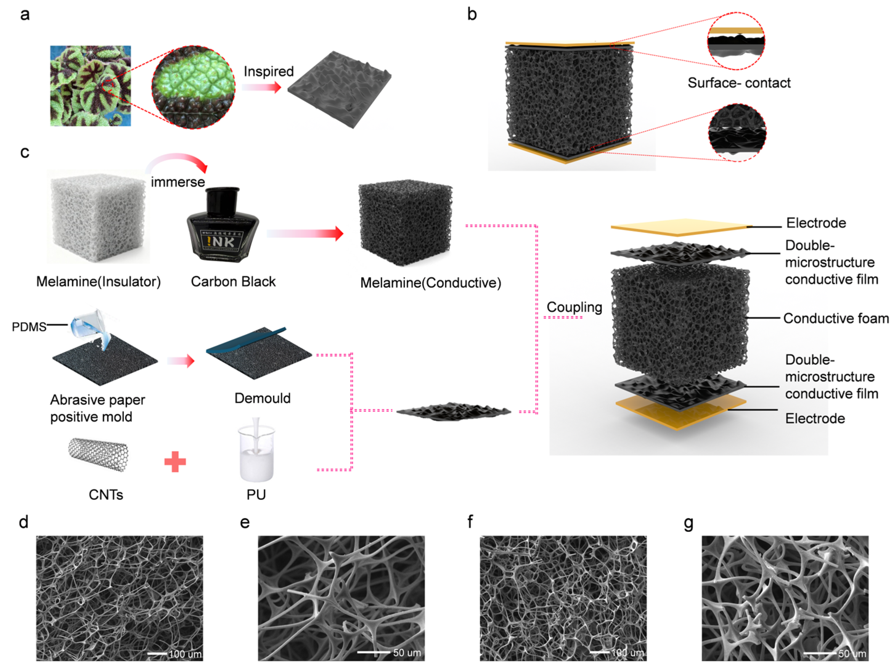 Biomimetics 11 00376 g001 Biomimetics 11 00376 g001