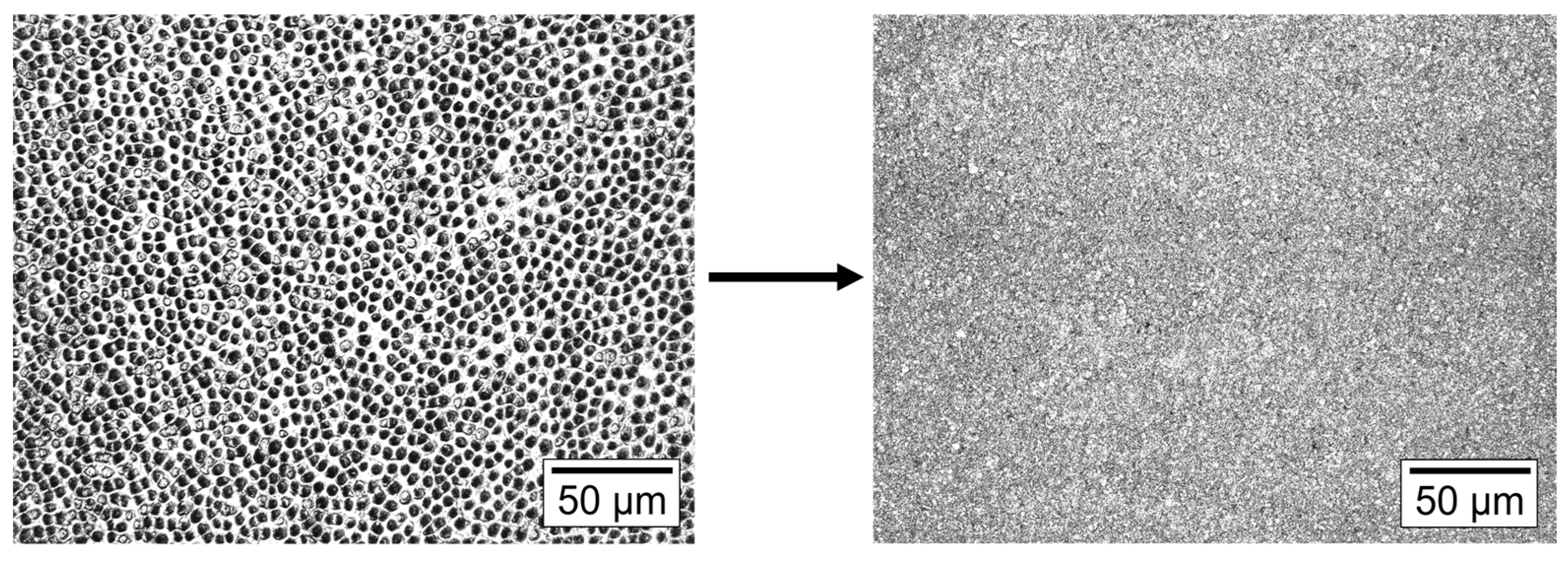 Biomimetics 11 00403 g004 Biomimetics 11 00403 g004