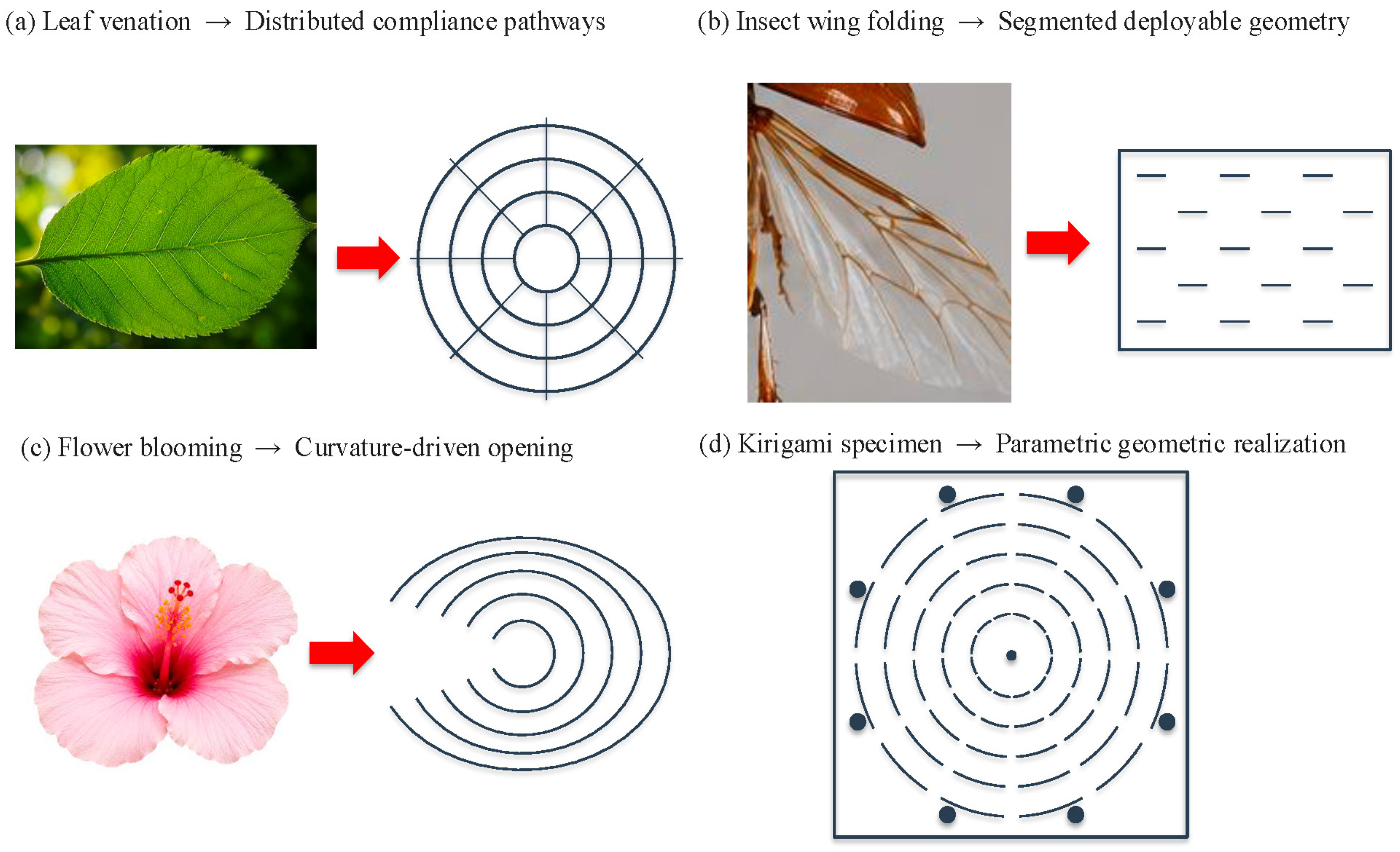 Biomimetics 11 00427 g001