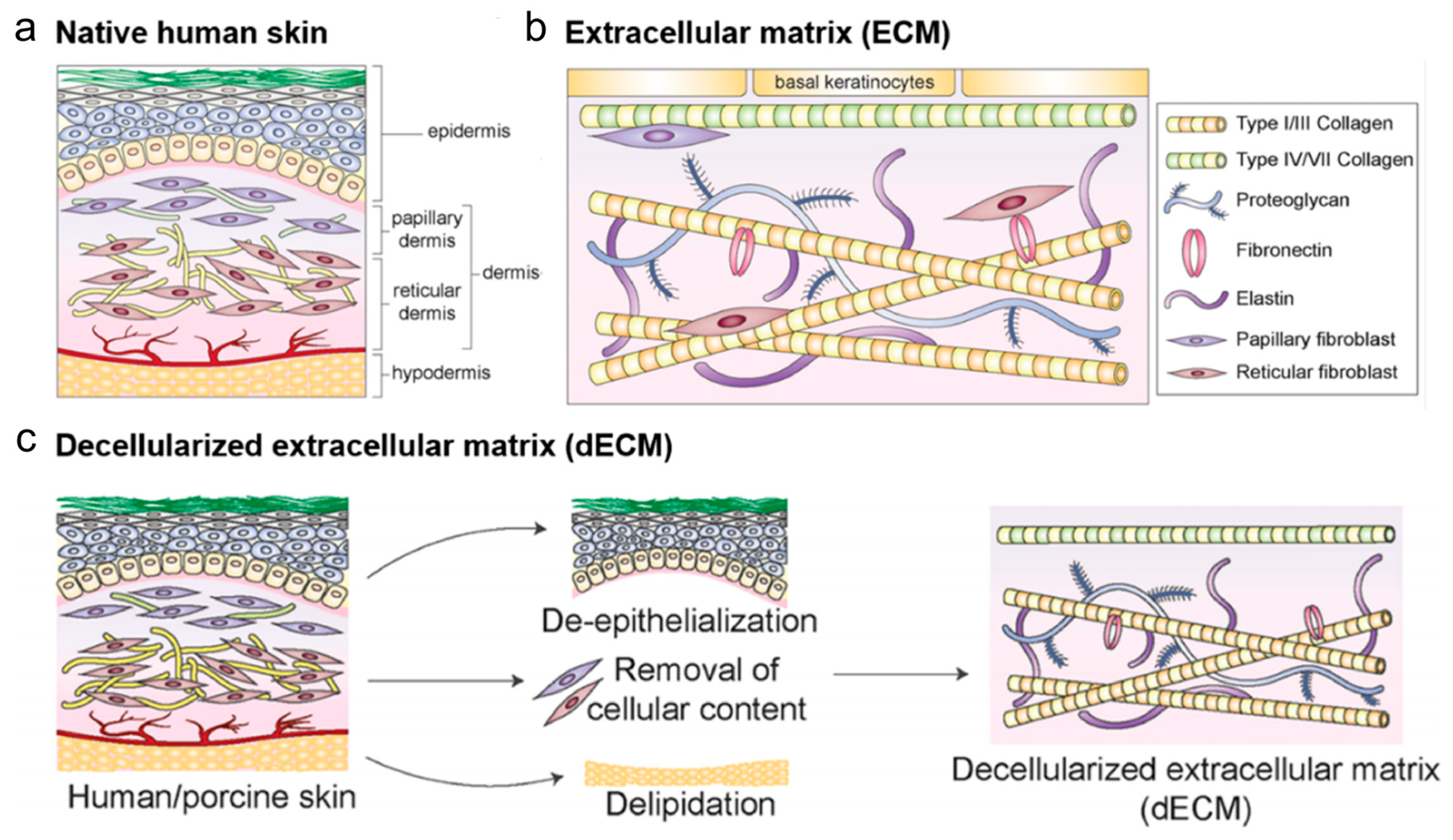 Biomimetics 11 00429 g002 Biomimetics 11 00429 g002