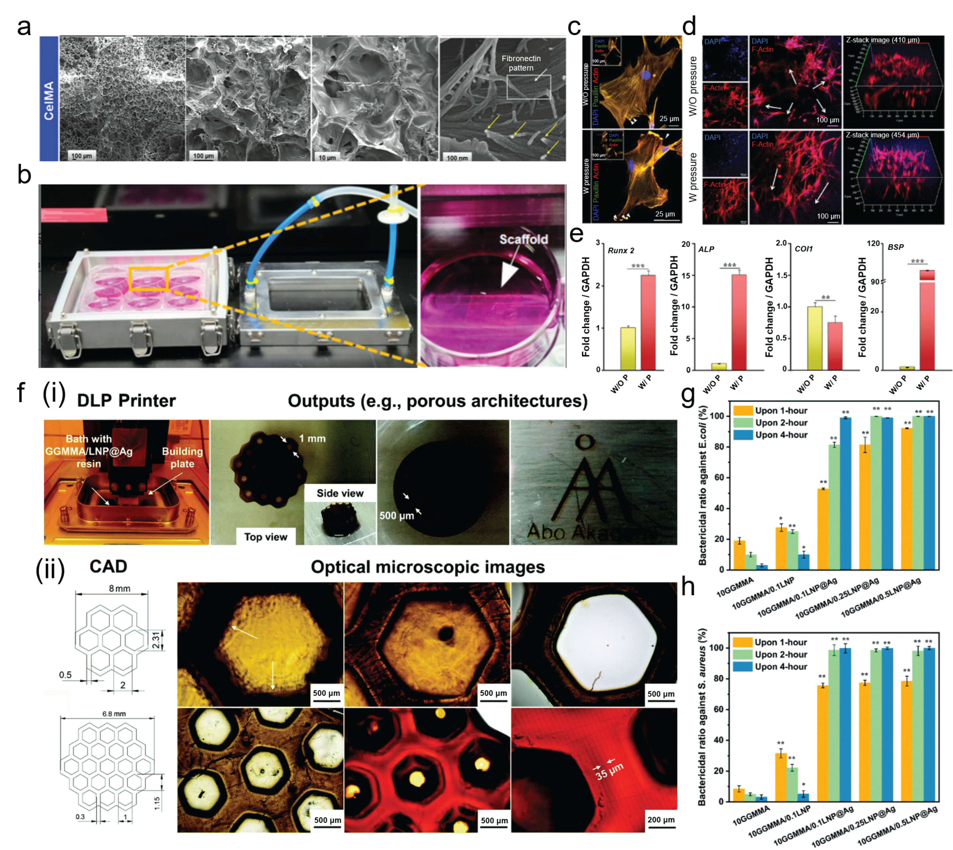 Biomimetics 11 00429 g006 Biomimetics 11 00429 g006