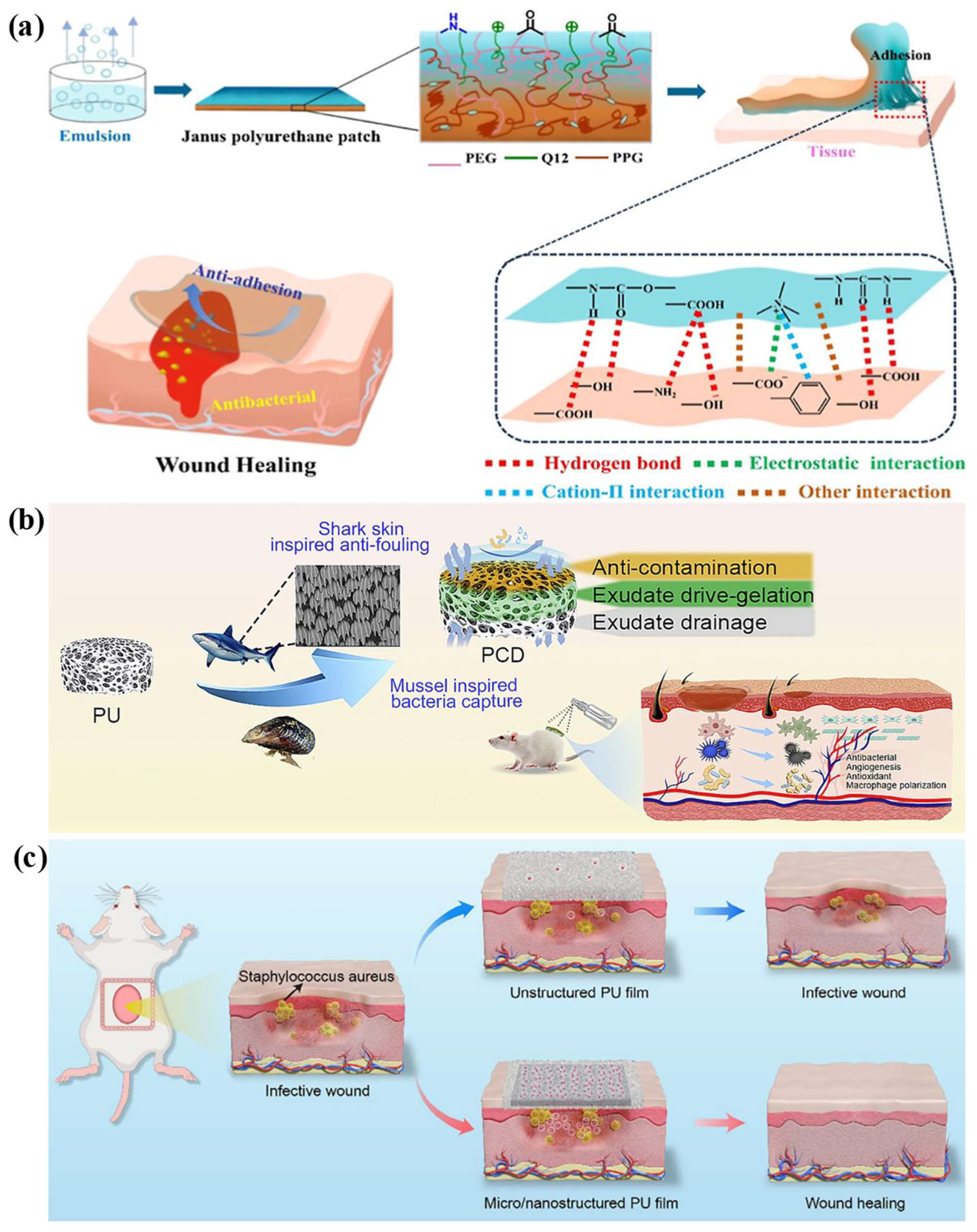 Biomimetics 11 00491 g004 Biomimetics 11 00491 g004