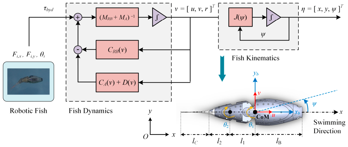 Adaptive Task-Oriented Locomotion Control of a 2D Planar Robotic Fish ...