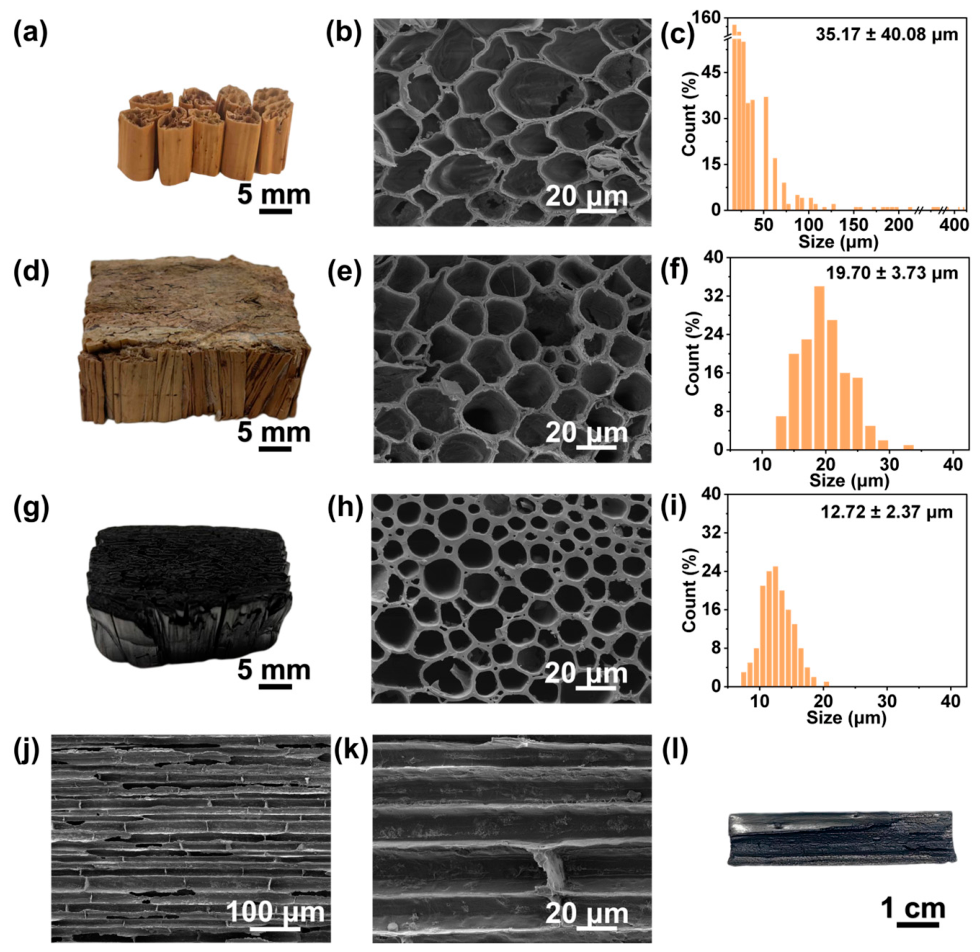 Biomimetics 11 00538 g002 Biomimetics 11 00538 g002