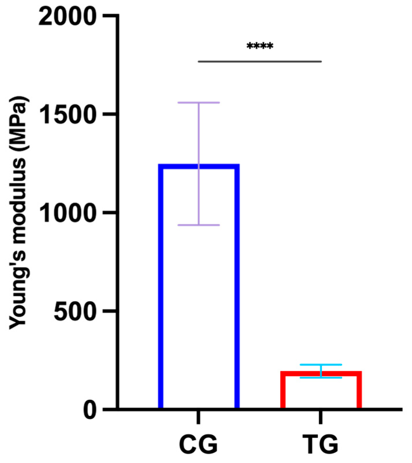 Development and Characterization of Water-Based Porous Calcium ...