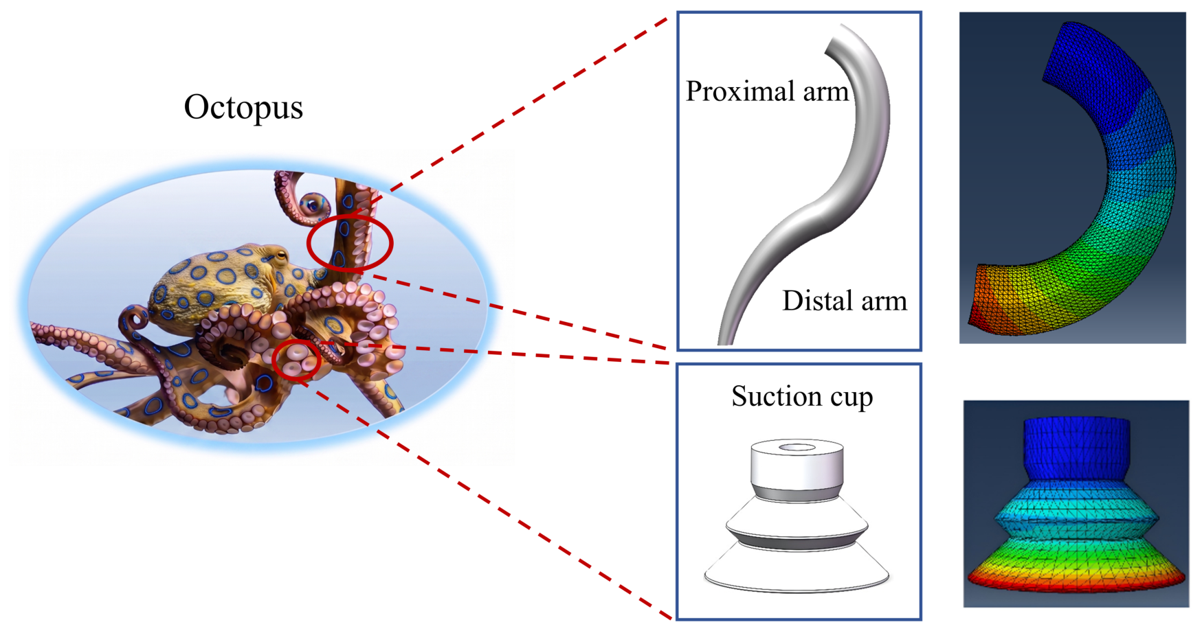Biomimetics 11 00558 g001 Biomimetics 11 00558 g001
