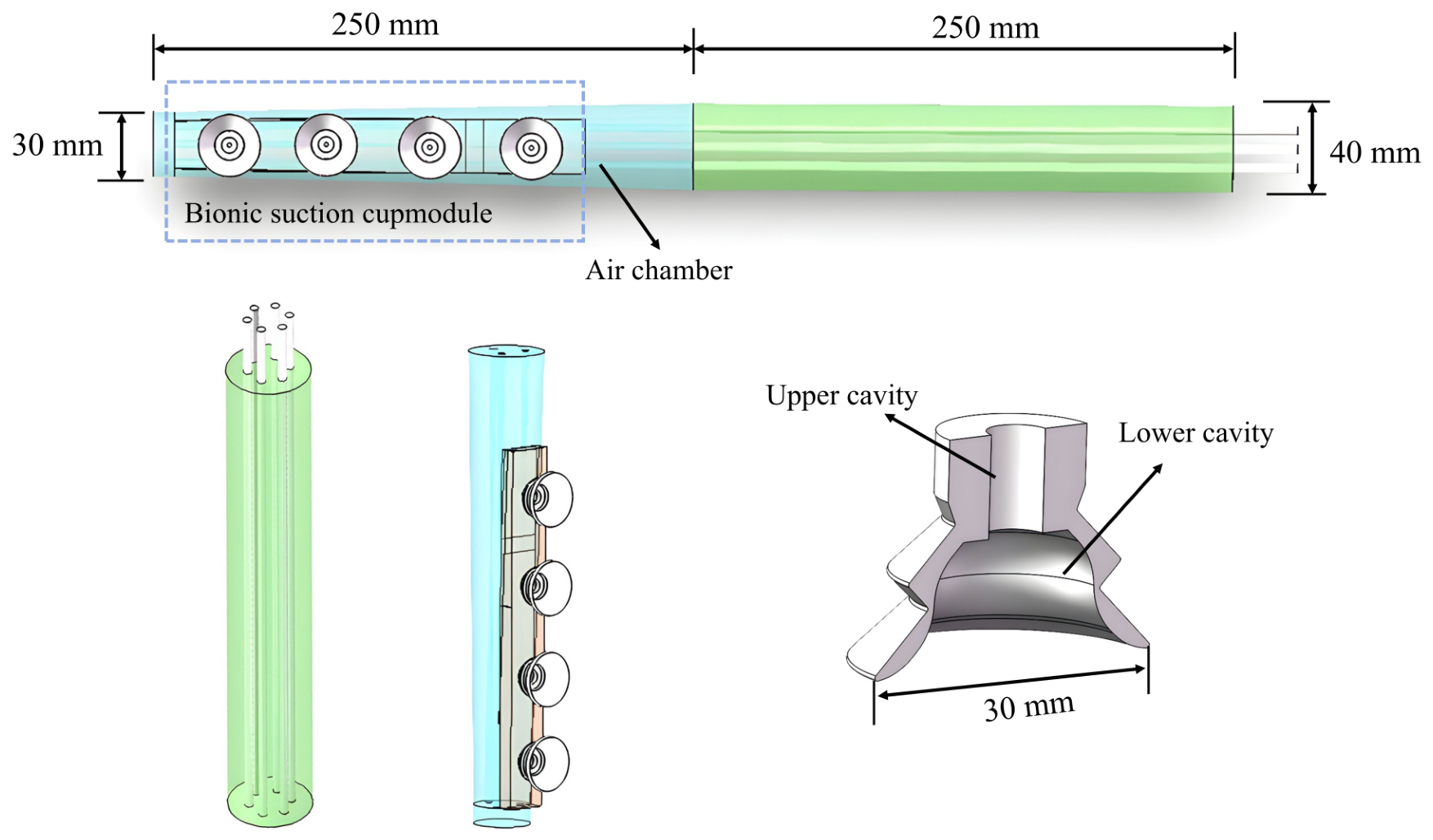 Biomimetics 11 00558 g002 Biomimetics 11 00558 g002