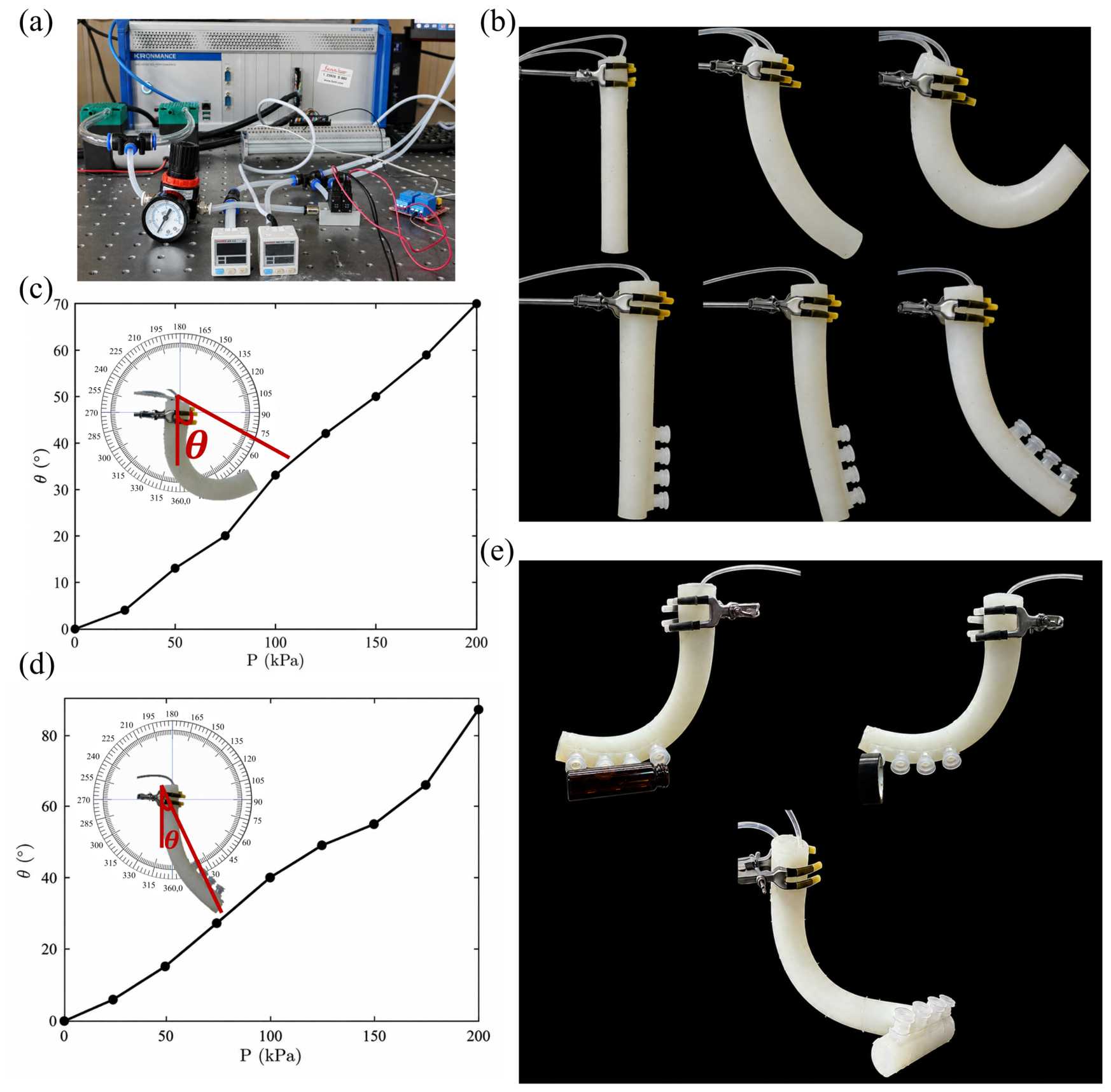 Biomimetics 11 00558 g011 Biomimetics 11 00558 g011