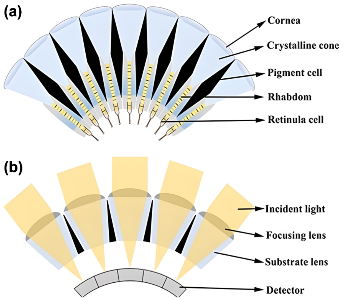 Biomimetics 11 00596 g007 Biomimetics 11 00596 g007