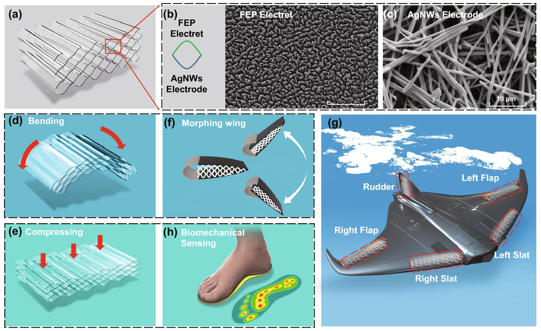 Biomimetics 11 00596 g009 Biomimetics 11 00596 g009