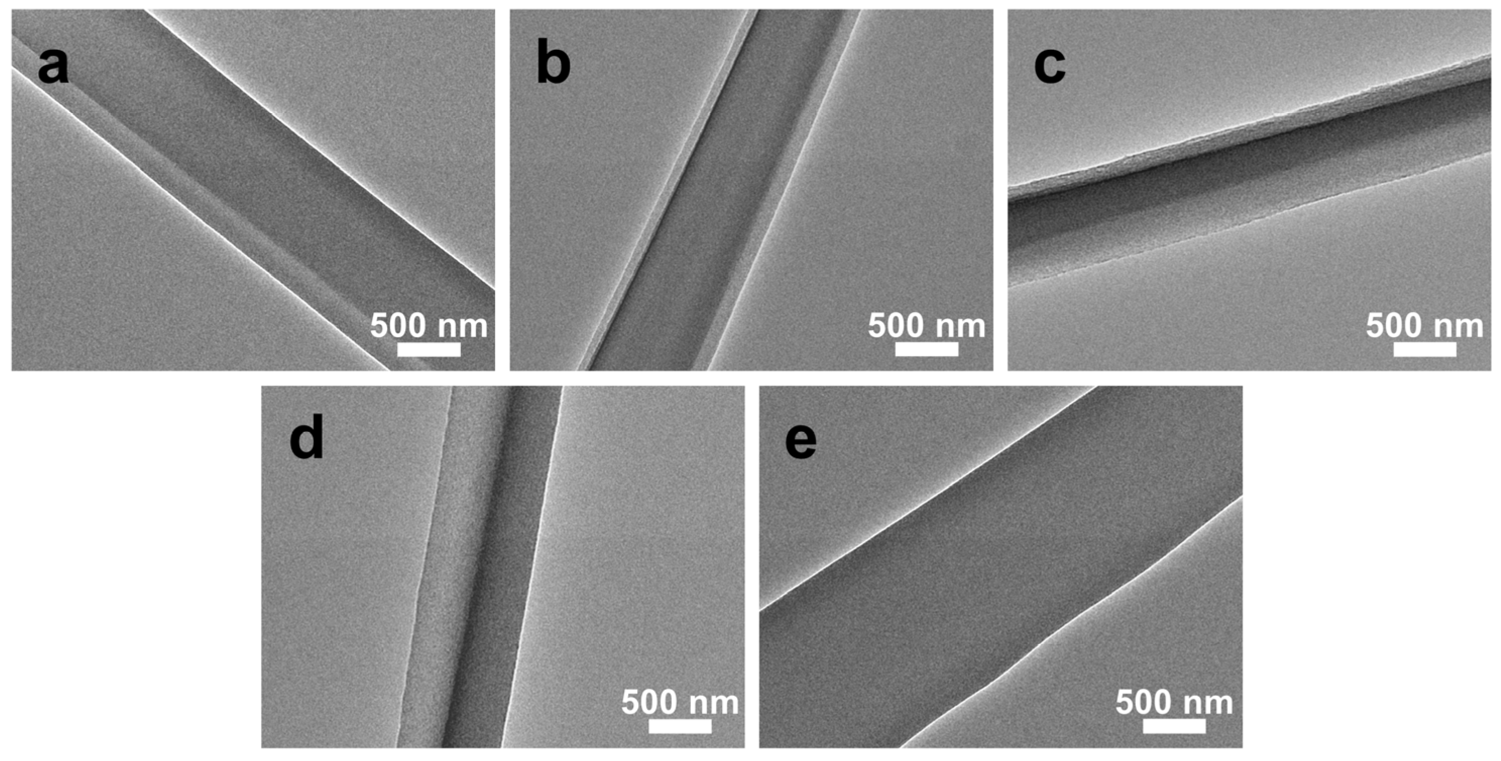 Biomimetics 11 00599 g004 Biomimetics 11 00599 g004