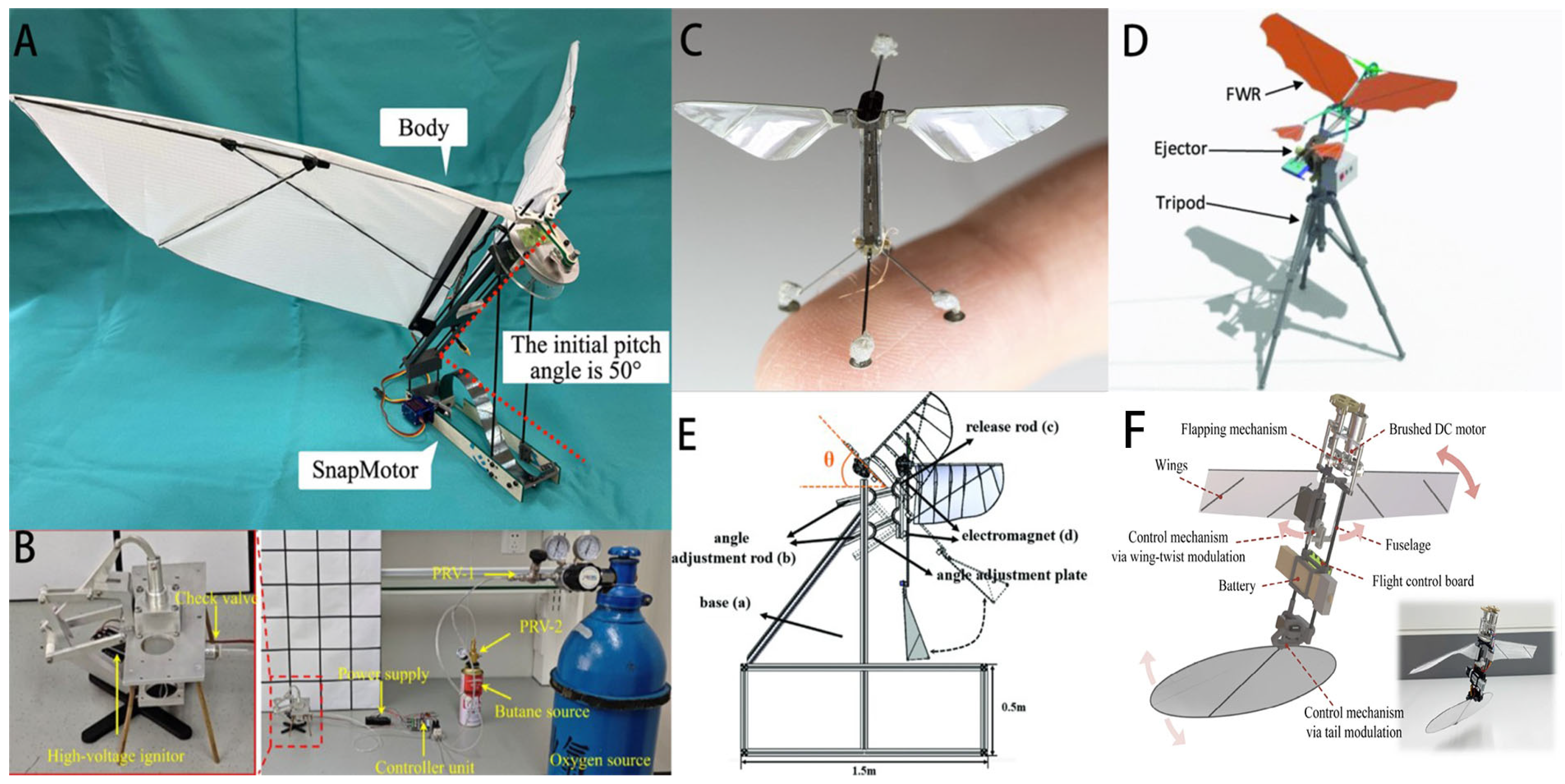 Biomimetics 11 00627 g001 Biomimetics 11 00627 g001
