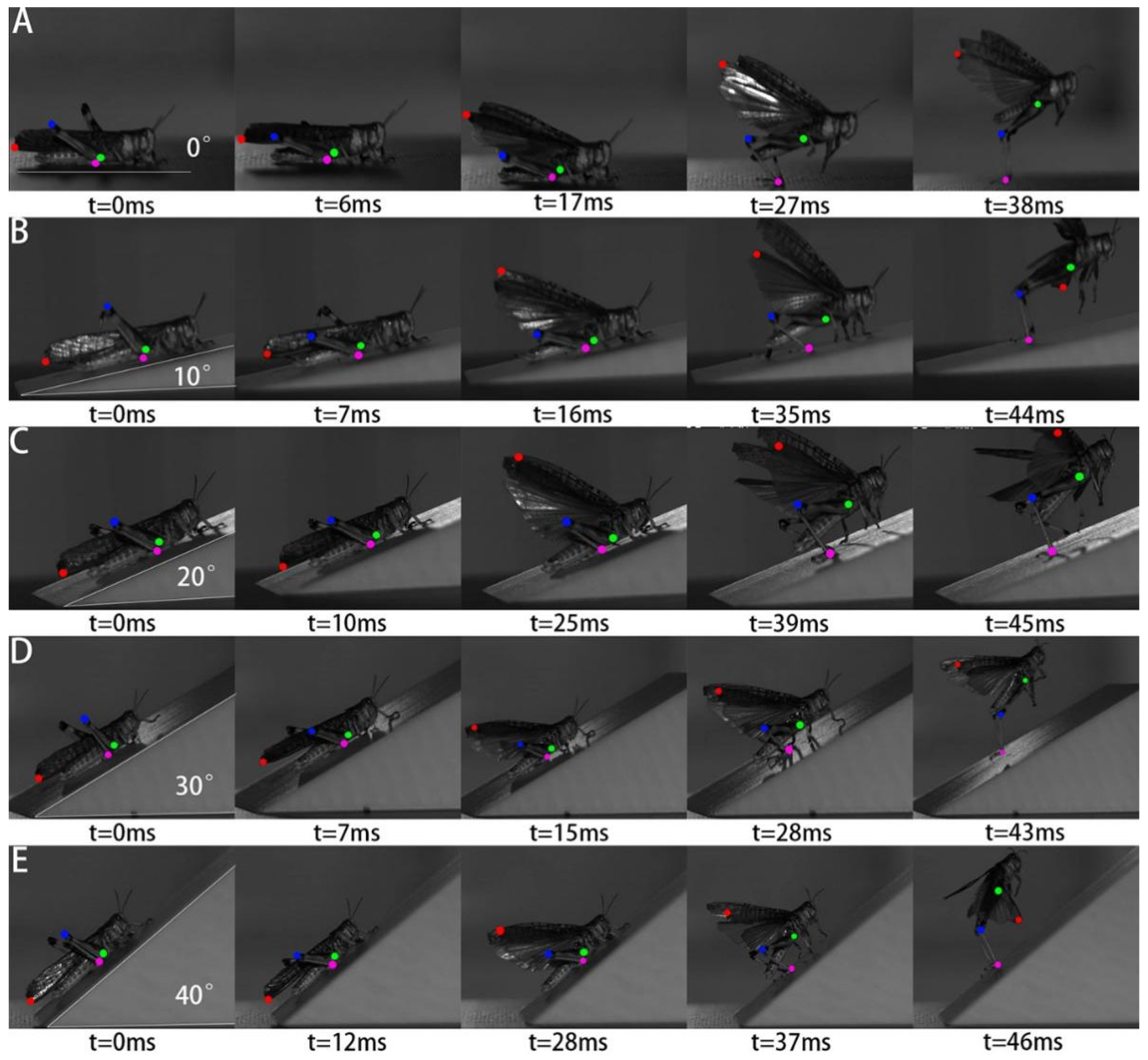 Biomimetics 11 00627 g003 Biomimetics 11 00627 g003