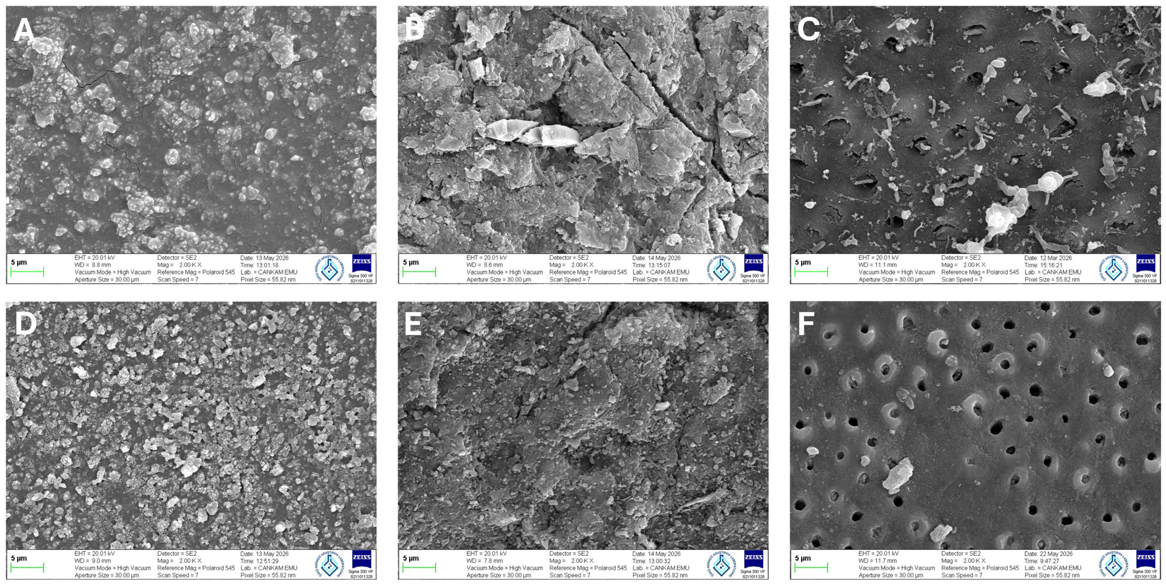 Biomimetics 11 00671 g004 Biomimetics 11 00671 g004