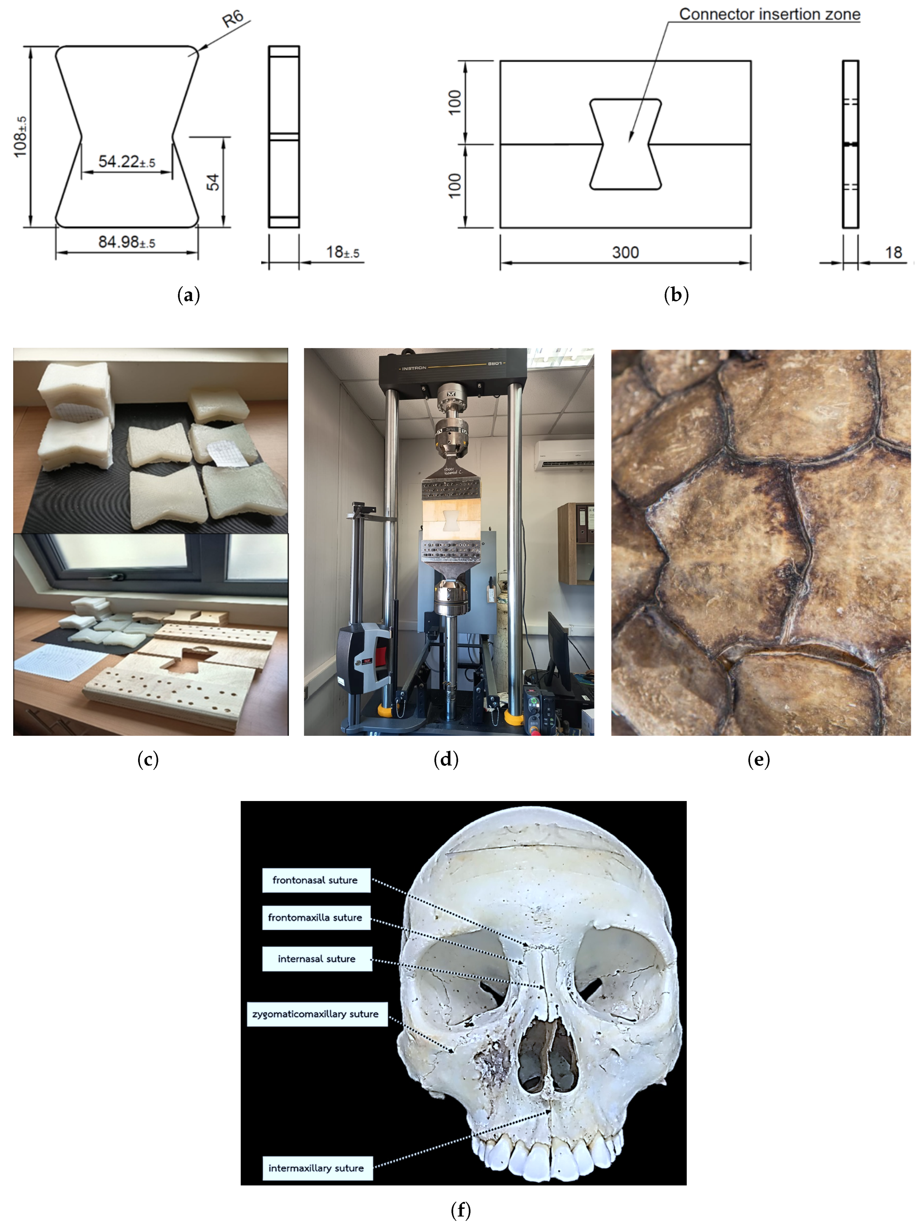 Biomimetics 11 00757 g002 Biomimetics 11 00757 g002