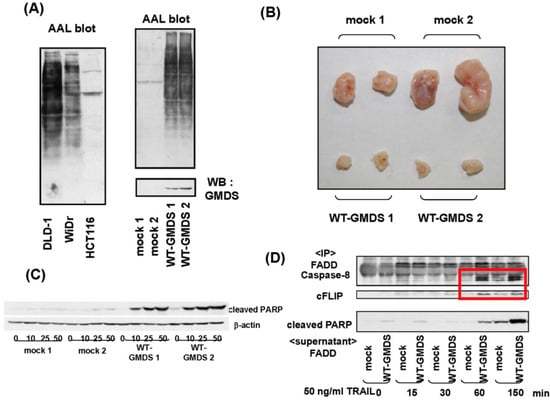 Biomolecules 02 00034 g002 550