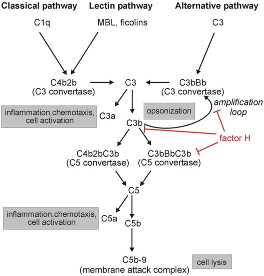 Biomolecules 02 00046 g001 550