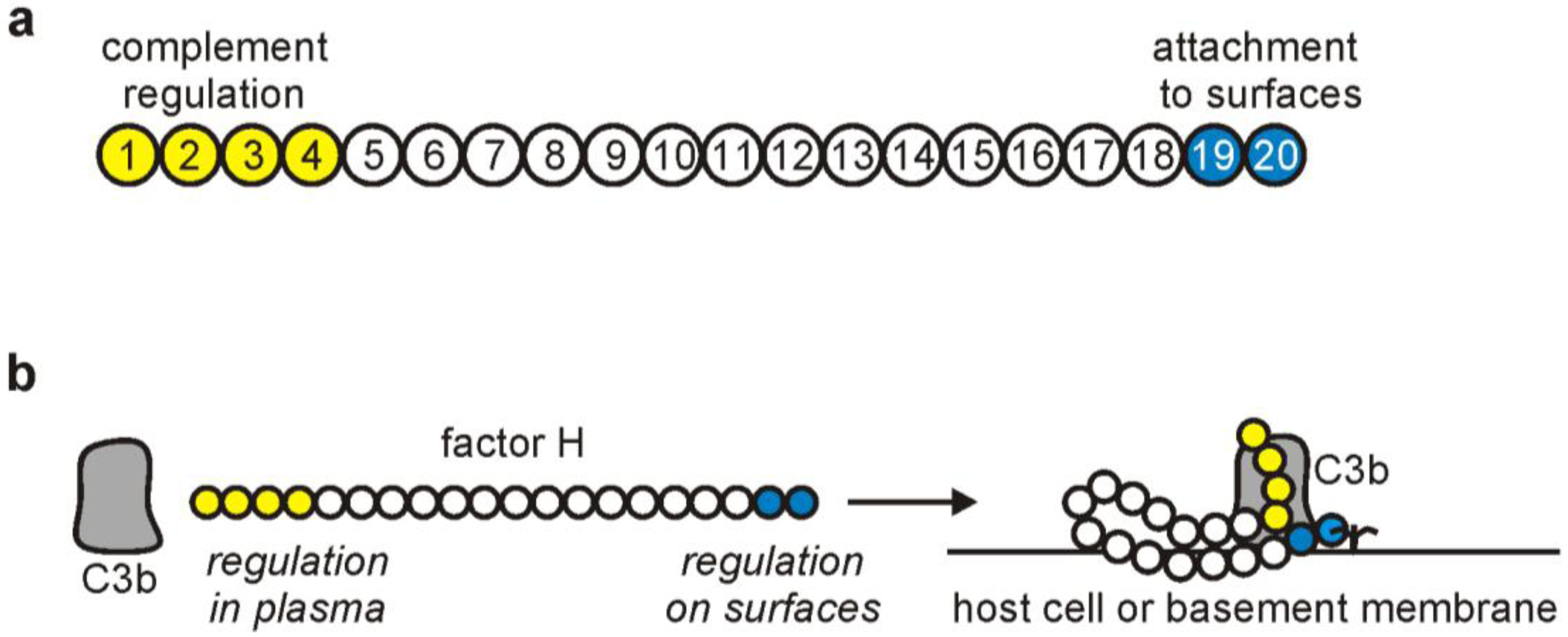 Biomolecules 02 00046 g002