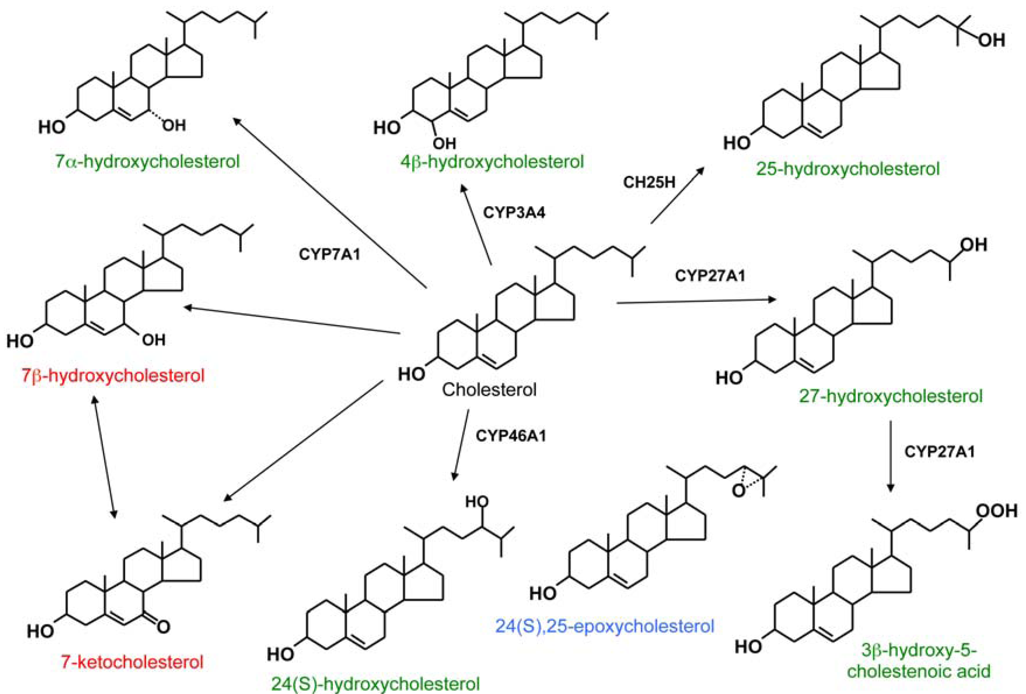 Biomolecules 02 00076 g001