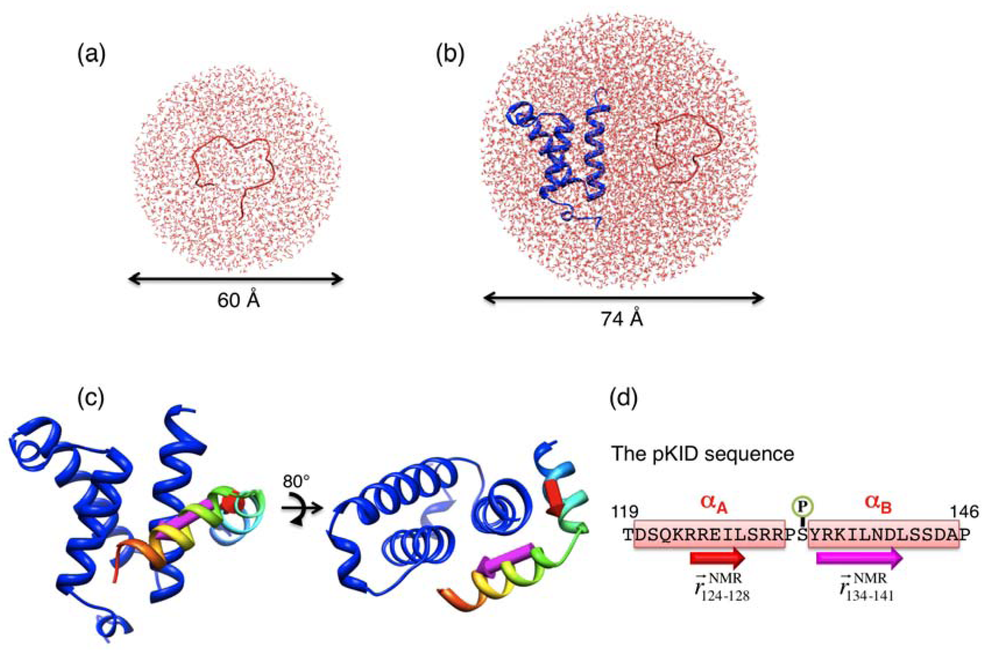 Biomolecules 02 00104 g001
