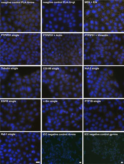Biomolecules 02 00122 g002 550