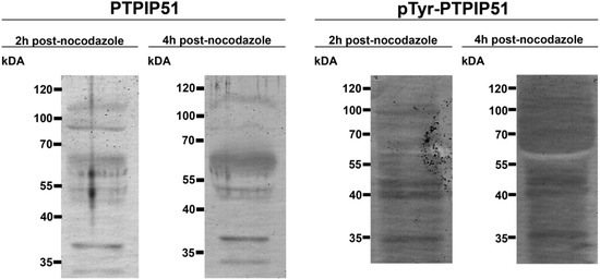 Biomolecules 02 00122 g004 550