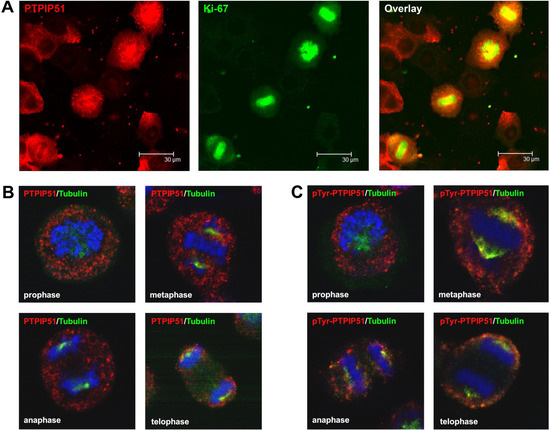 Biomolecules 02 00122 g005 550