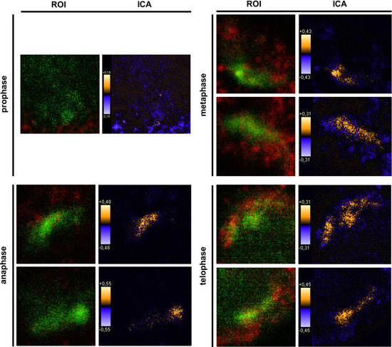 Biomolecules 02 00122 g006 550