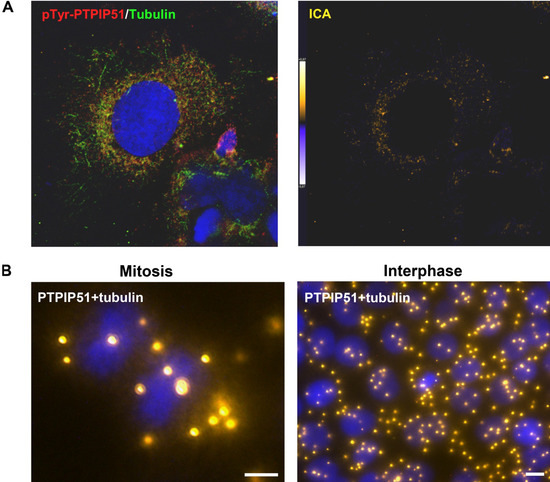 Biomolecules 02 00122 g008 550