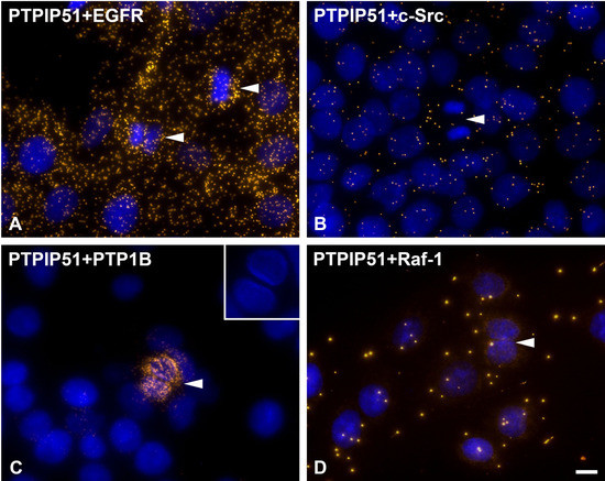 Biomolecules 02 00122 g010 550